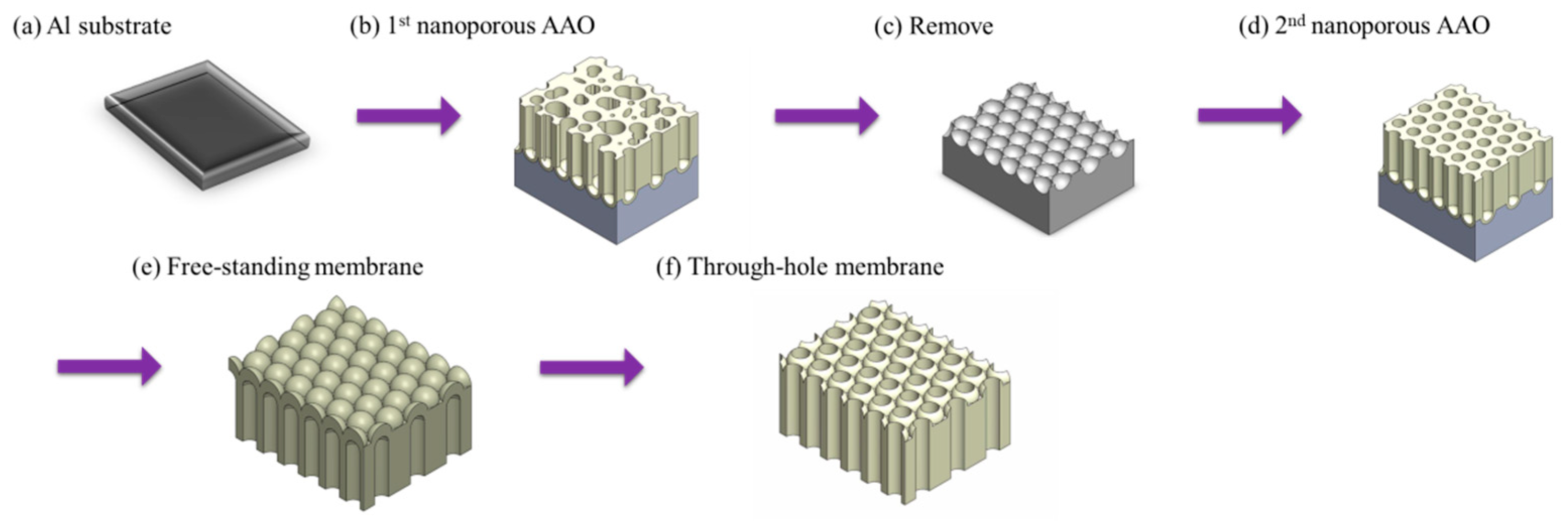 Nanomaterials 15 01665 g015 Nanomaterials 15 01665 g015