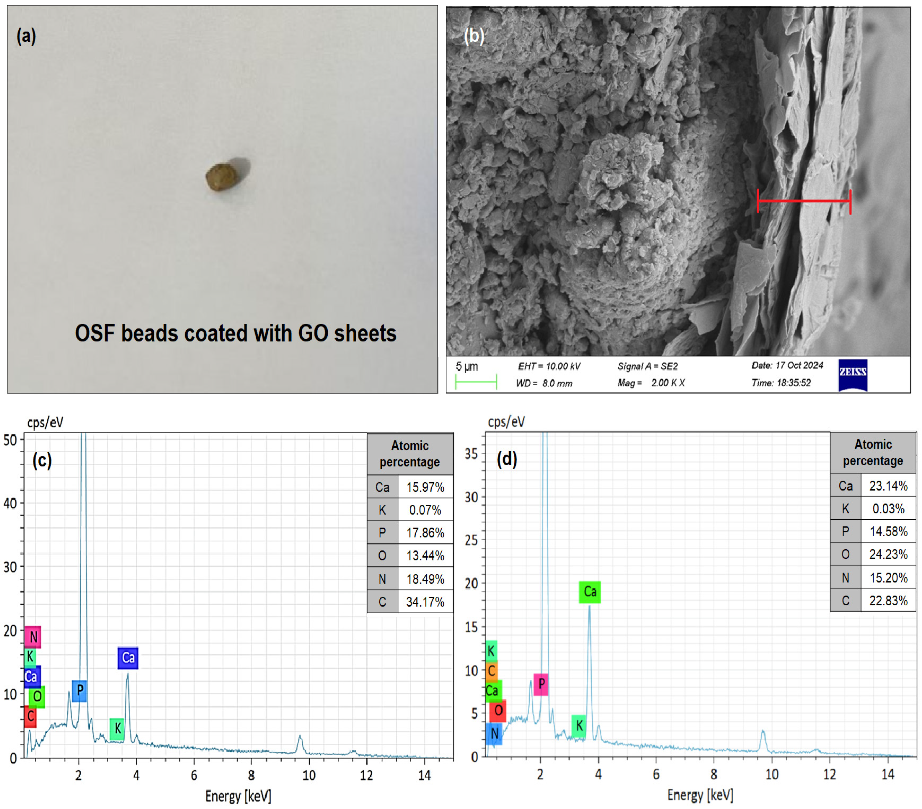 Nanomaterials 15 01666 g003 Nanomaterials 15 01666 g003
