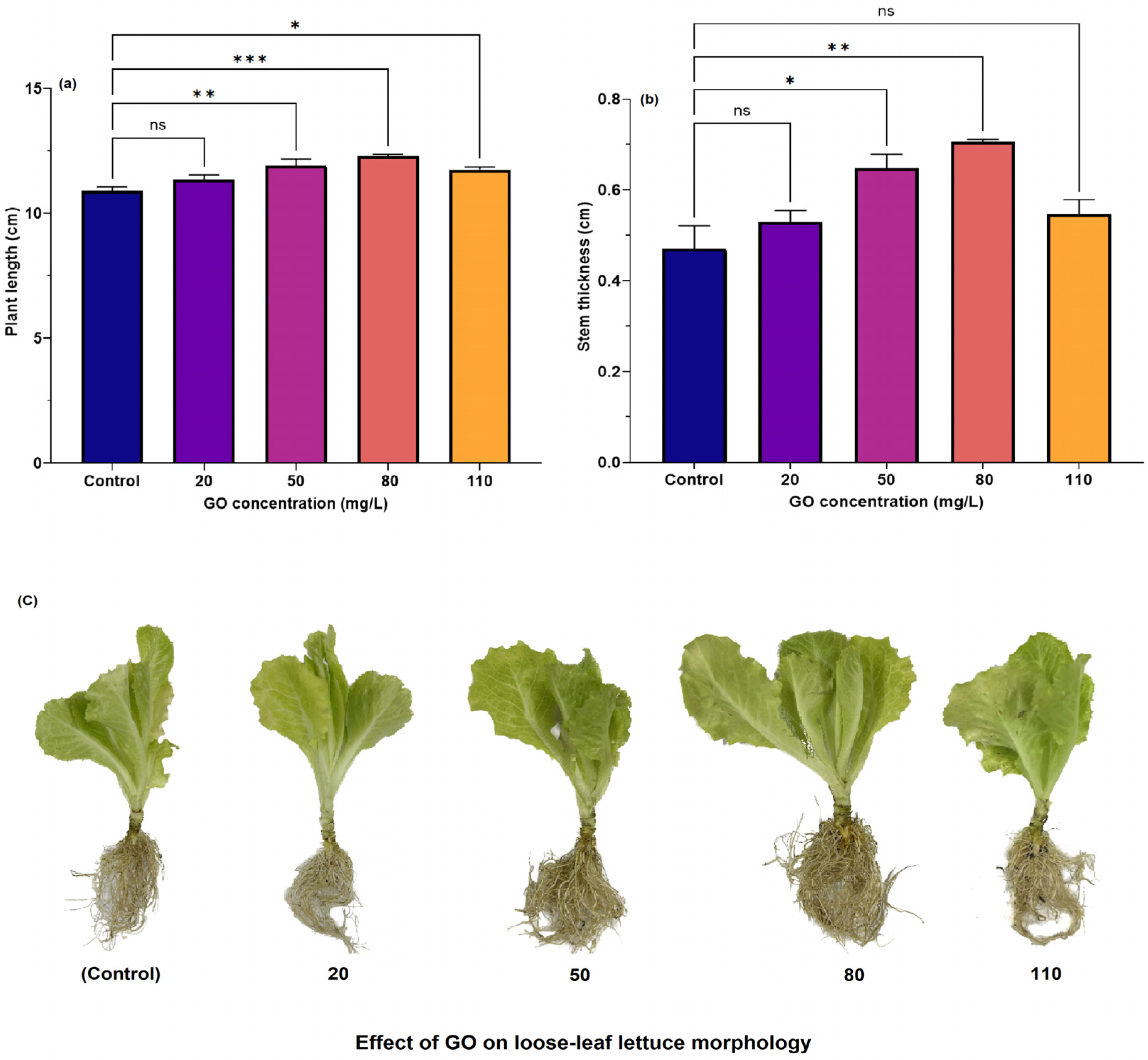 Nanomaterials 15 01666 g004 Nanomaterials 15 01666 g004