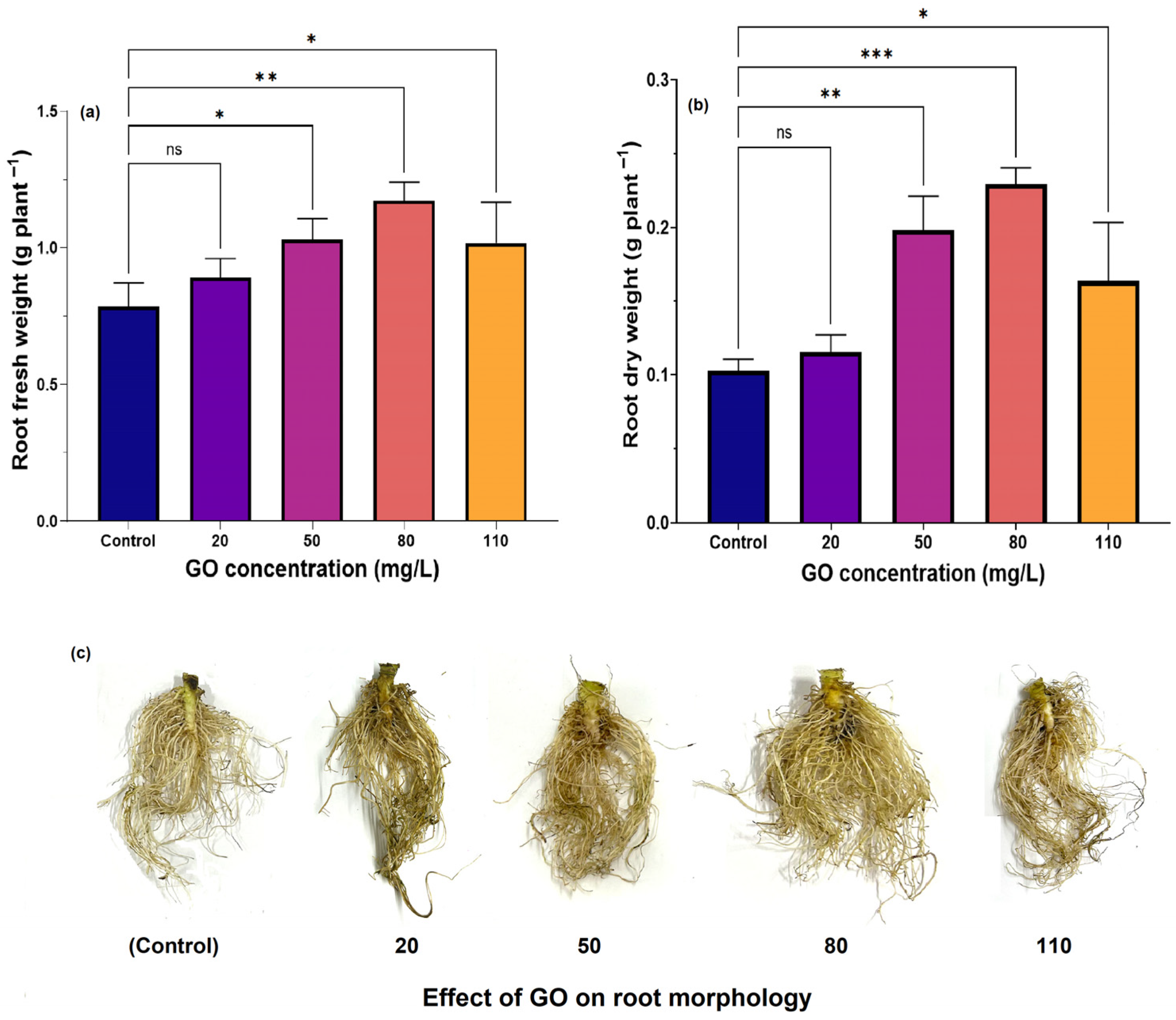 Nanomaterials 15 01666 g005 Nanomaterials 15 01666 g005