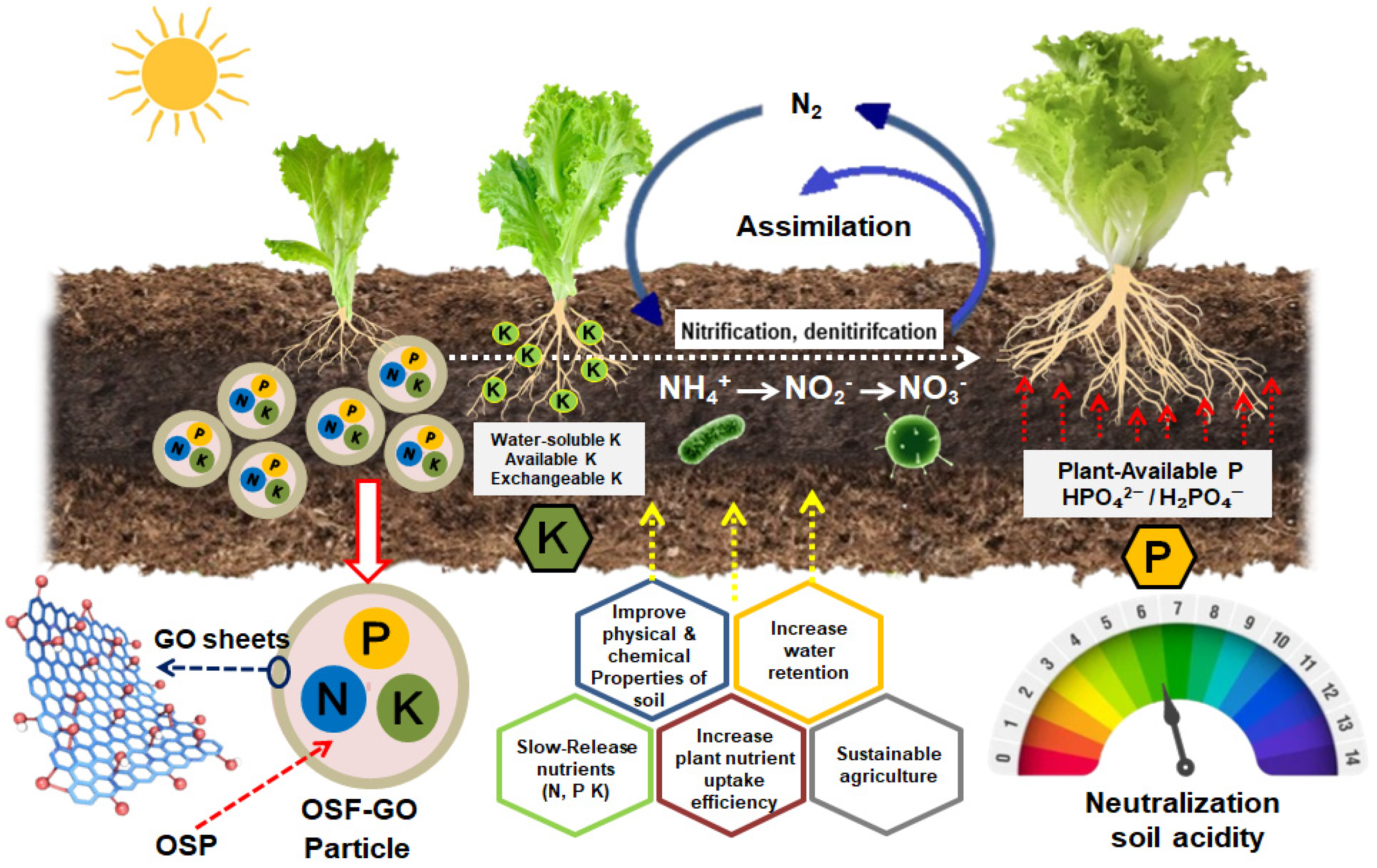 Nanomaterials 15 01666 g006 Nanomaterials 15 01666 g006