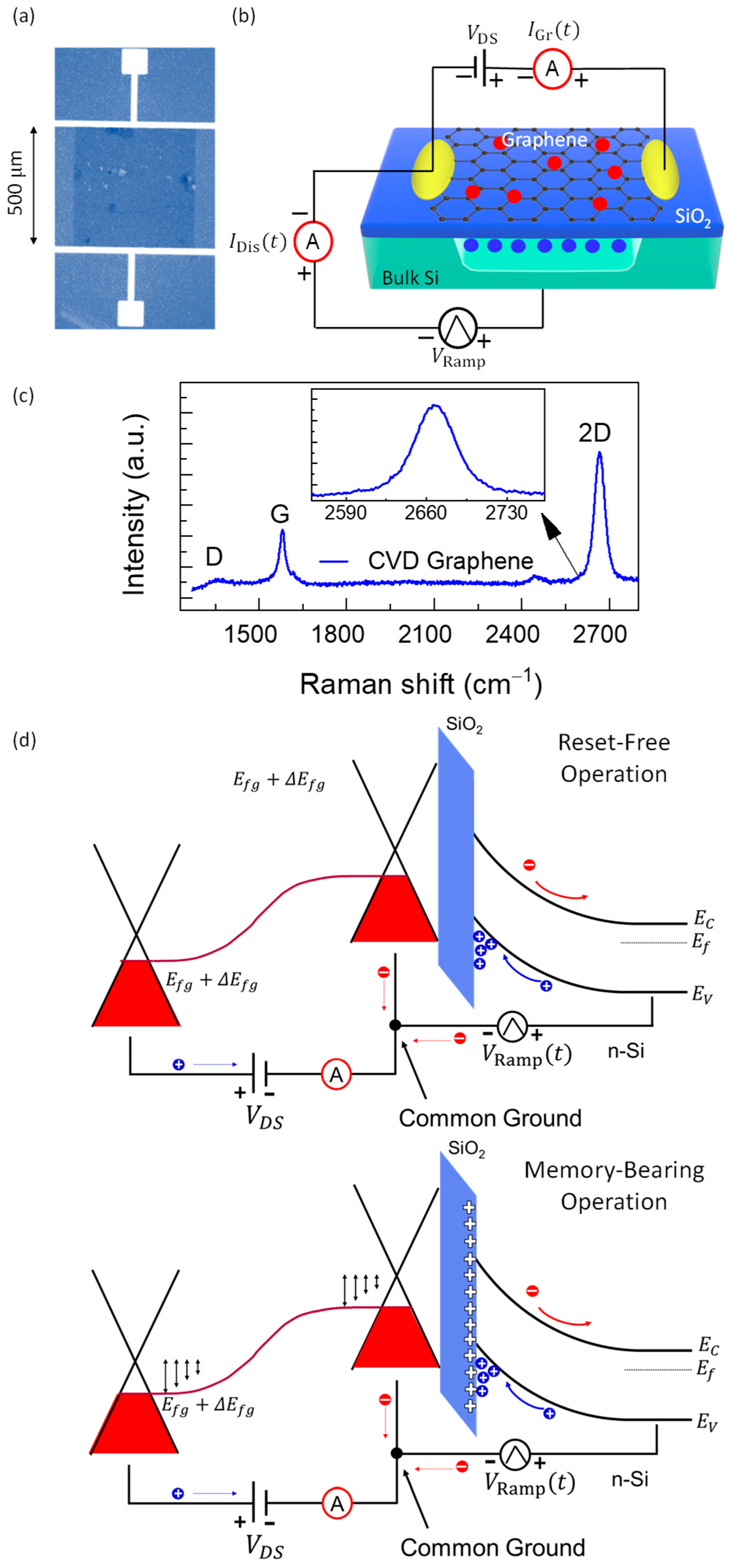 Nanomaterials 15 01667 g001