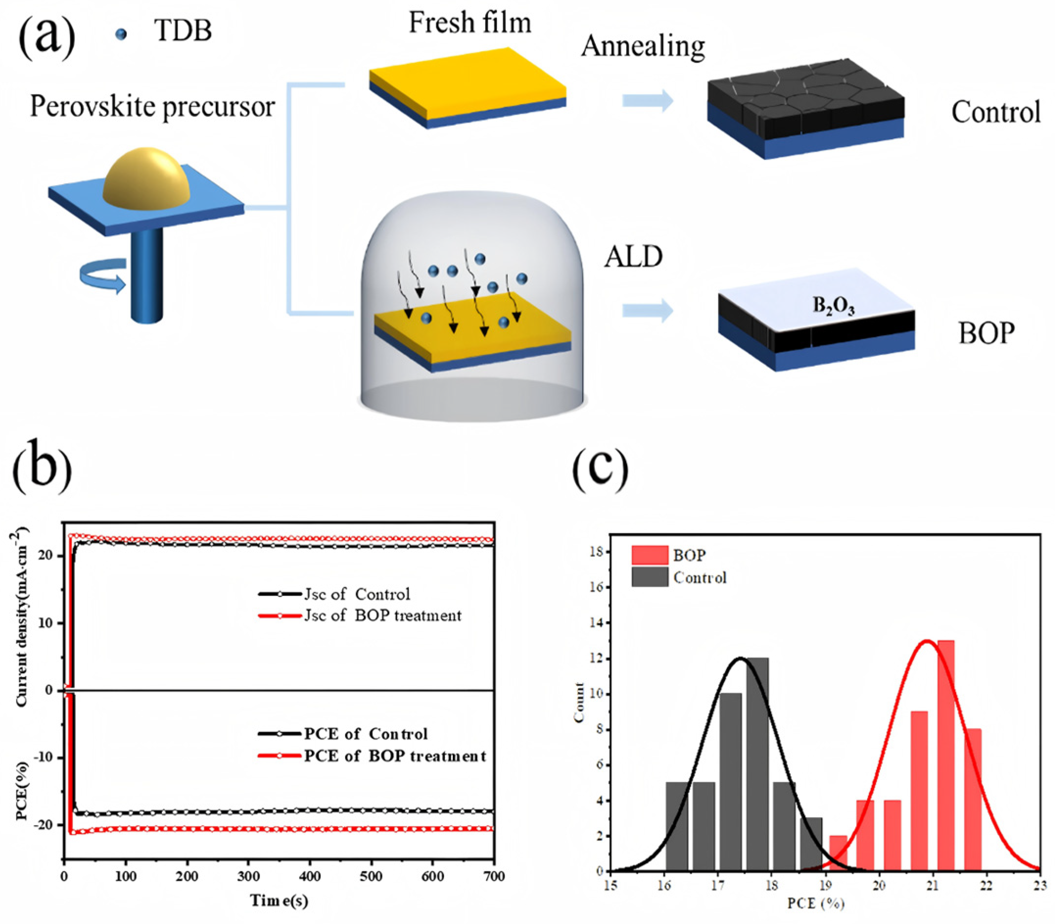Nanomaterials 15 01674 g009 Nanomaterials 15 01674 g009