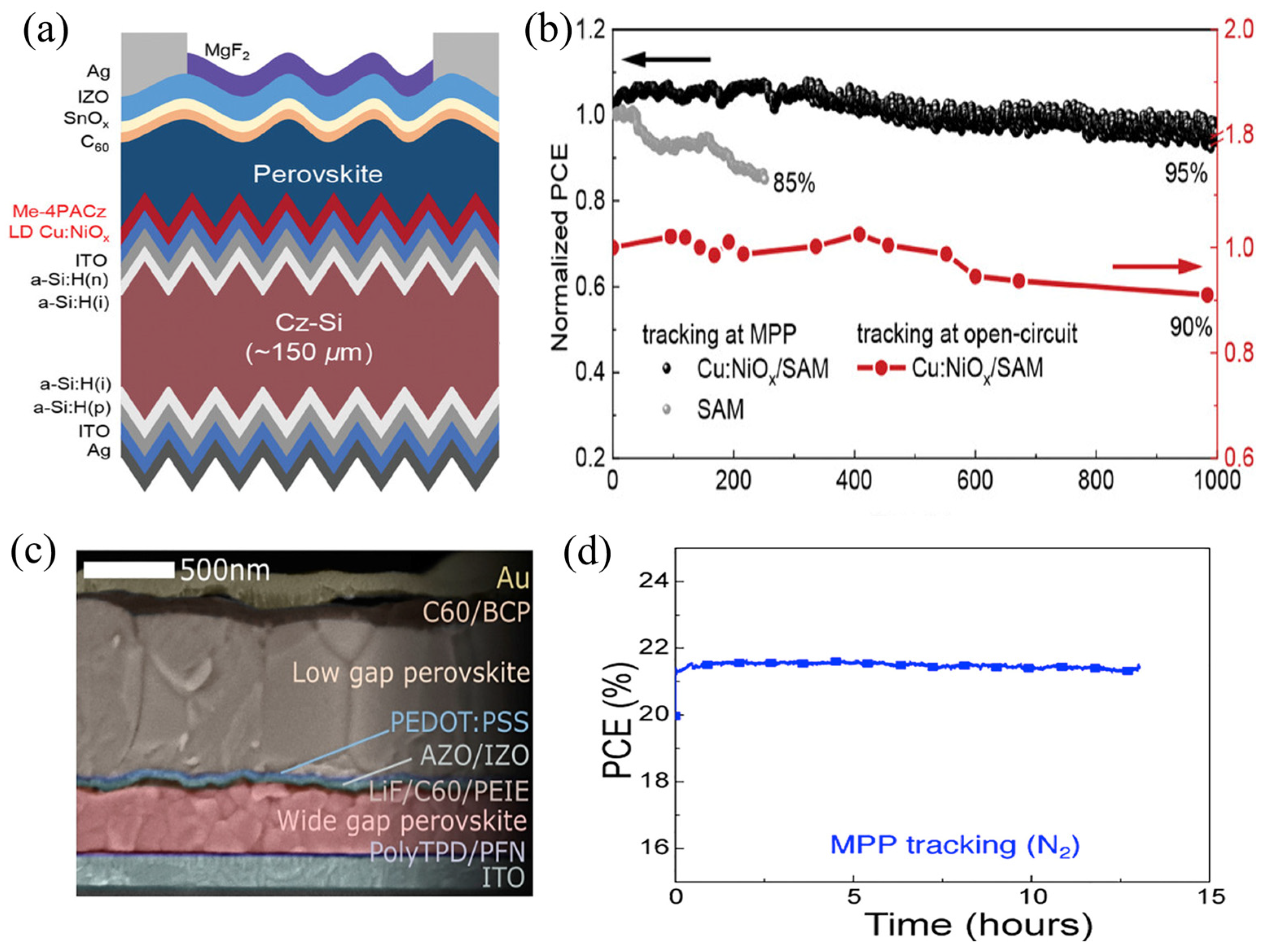 Nanomaterials 15 01674 g012 Nanomaterials 15 01674 g012