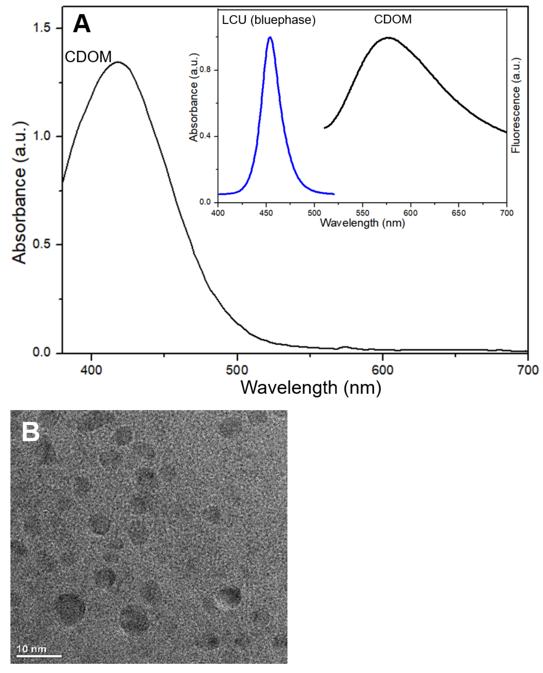 Nanomaterials 15 01677 g001a