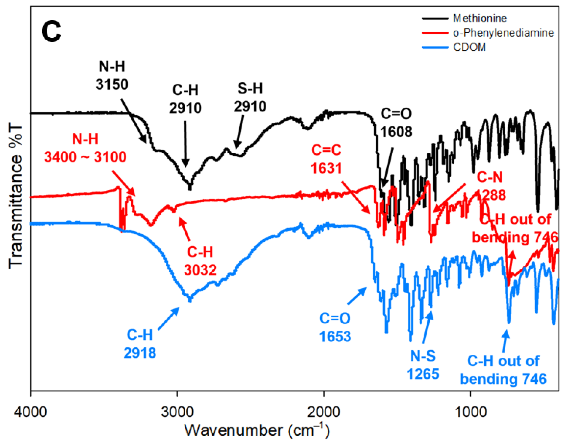 Nanomaterials 15 01677 g001b