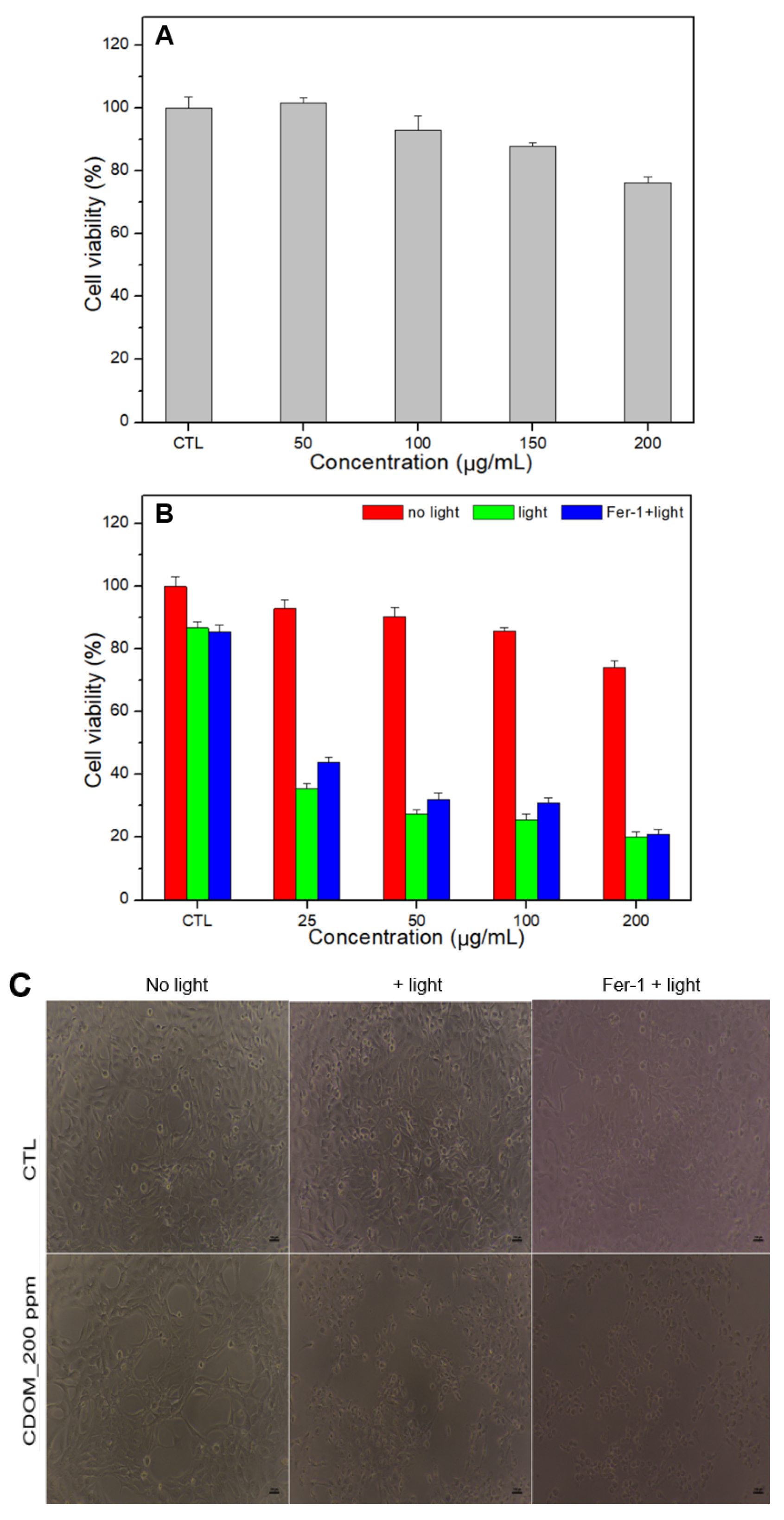 Nanomaterials 15 01677 g007