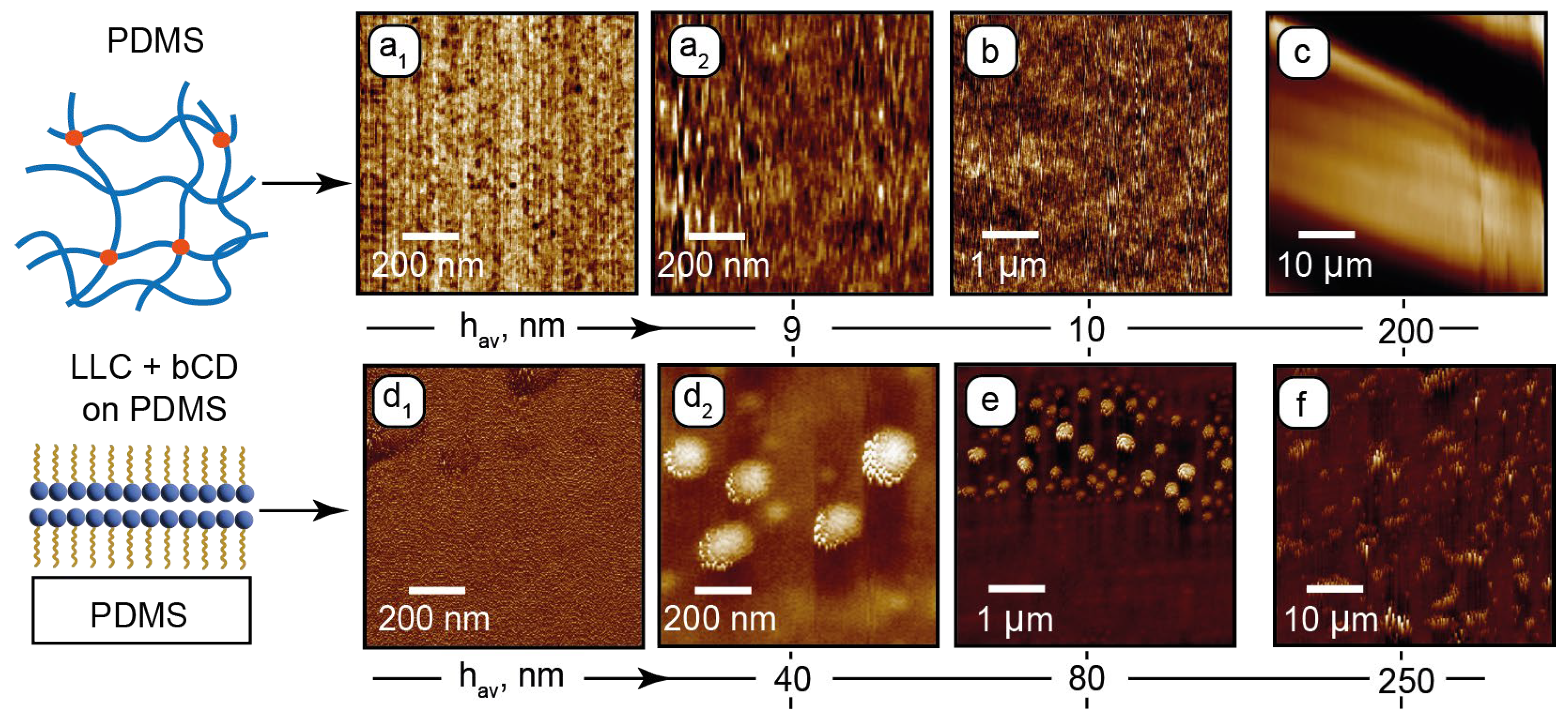 Nanomaterials 15 01682 g002 Nanomaterials 15 01682 g002