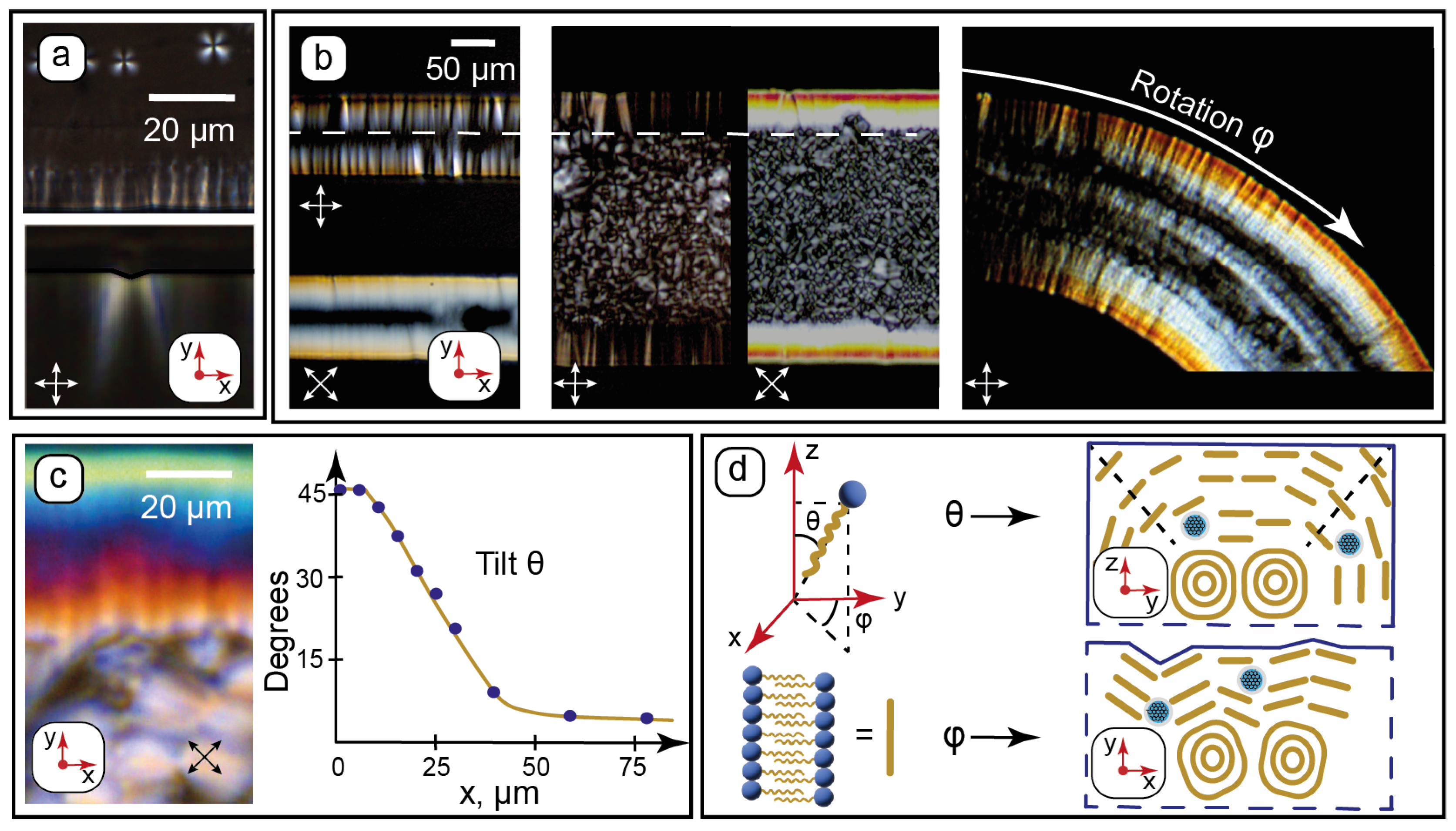 Nanomaterials 15 01682 g003 Nanomaterials 15 01682 g003