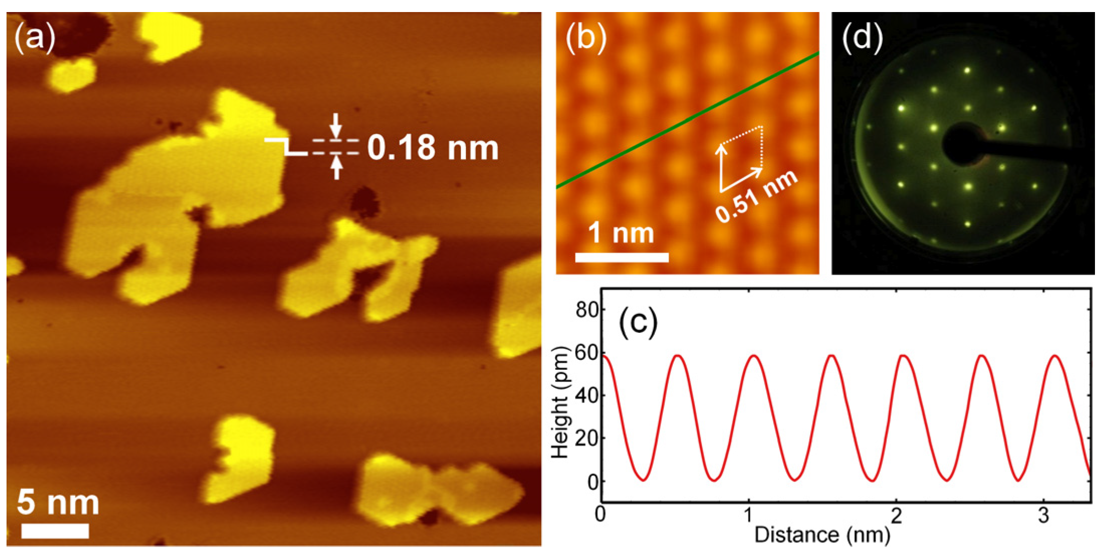 Nanomaterials 15 01684 g001
