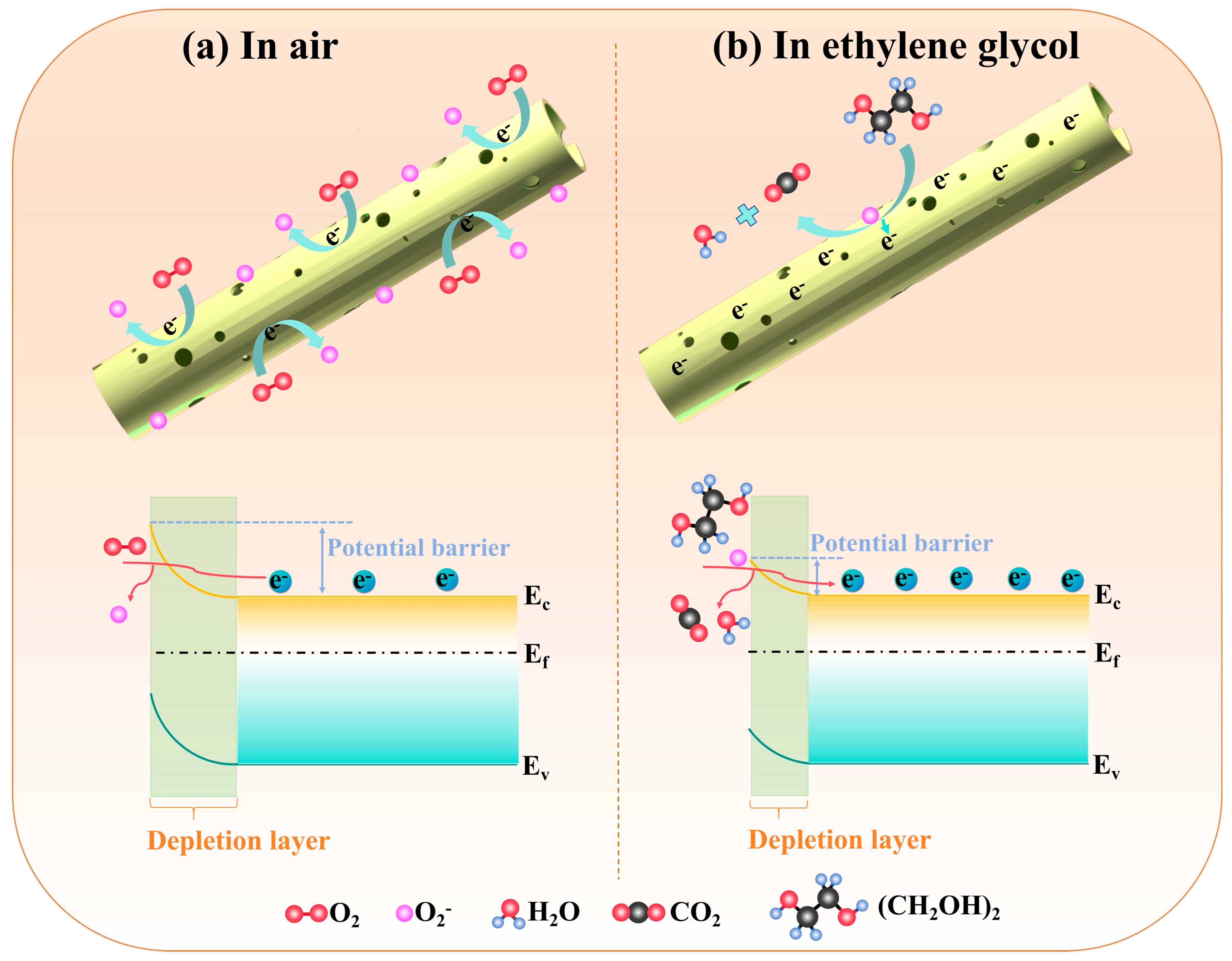 Nanomaterials 15 01686 g007 Nanomaterials 15 01686 g007