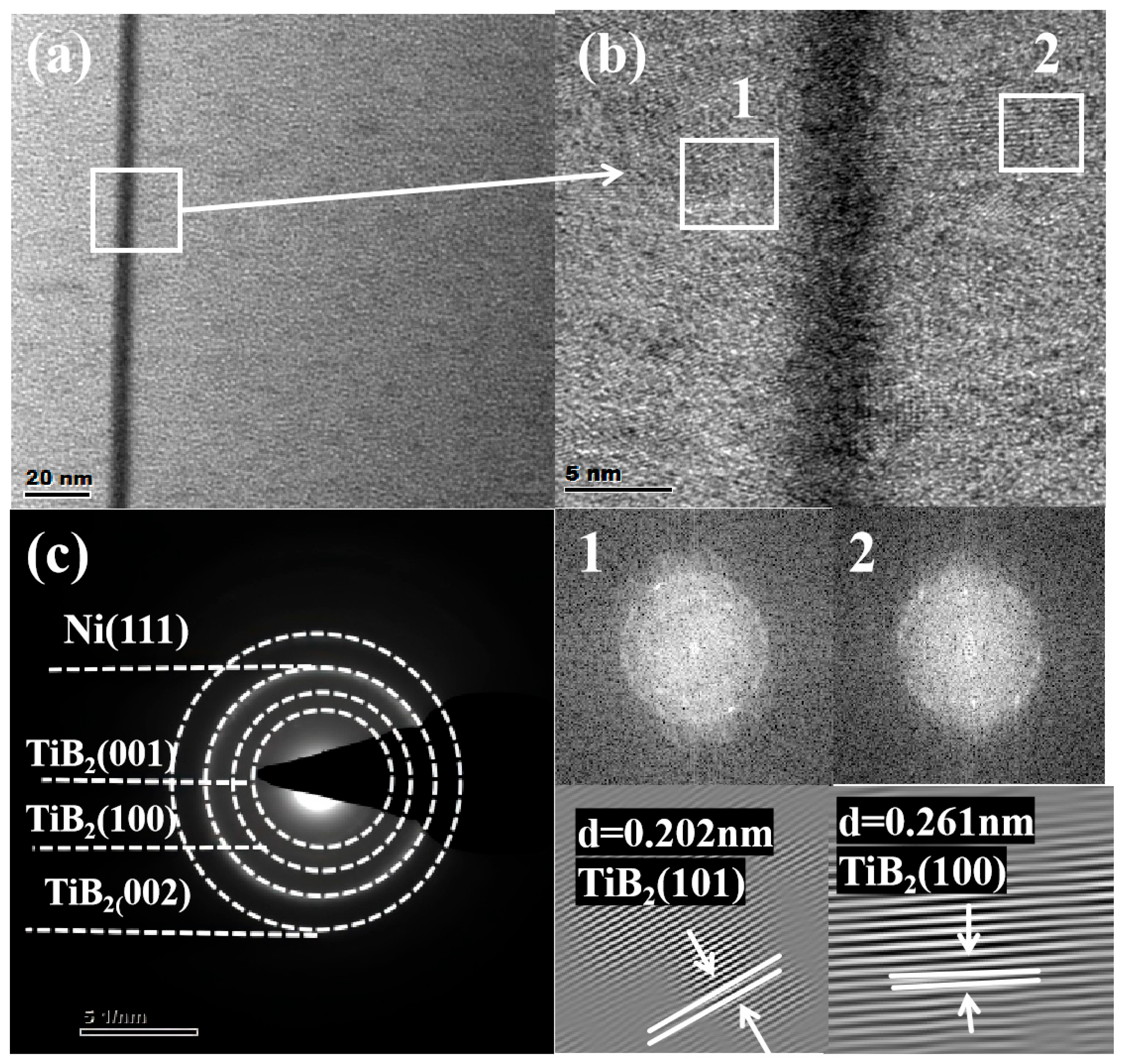Nanomaterials 15 01687 g004 Nanomaterials 15 01687 g004