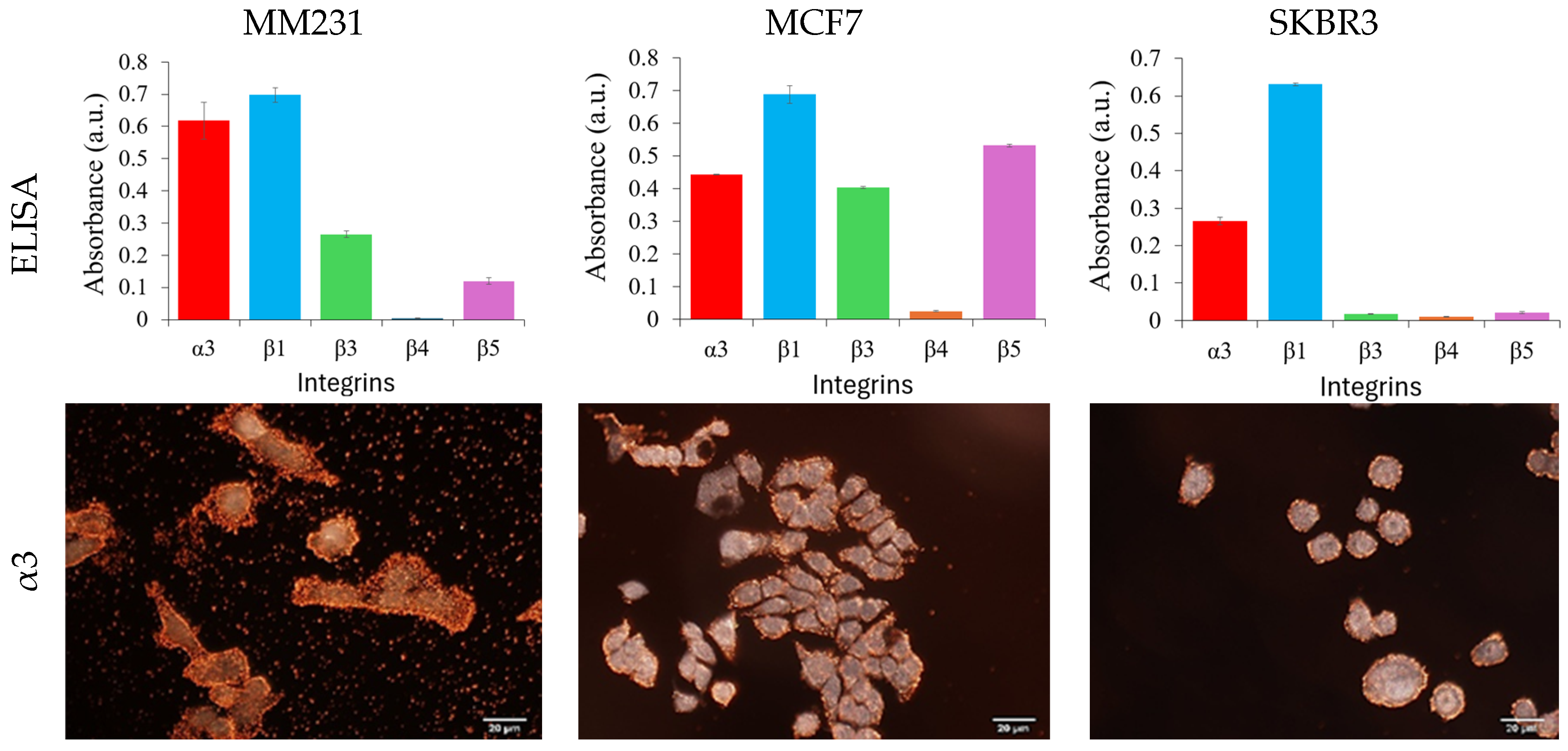 Nanomaterials 15 01693 g004a