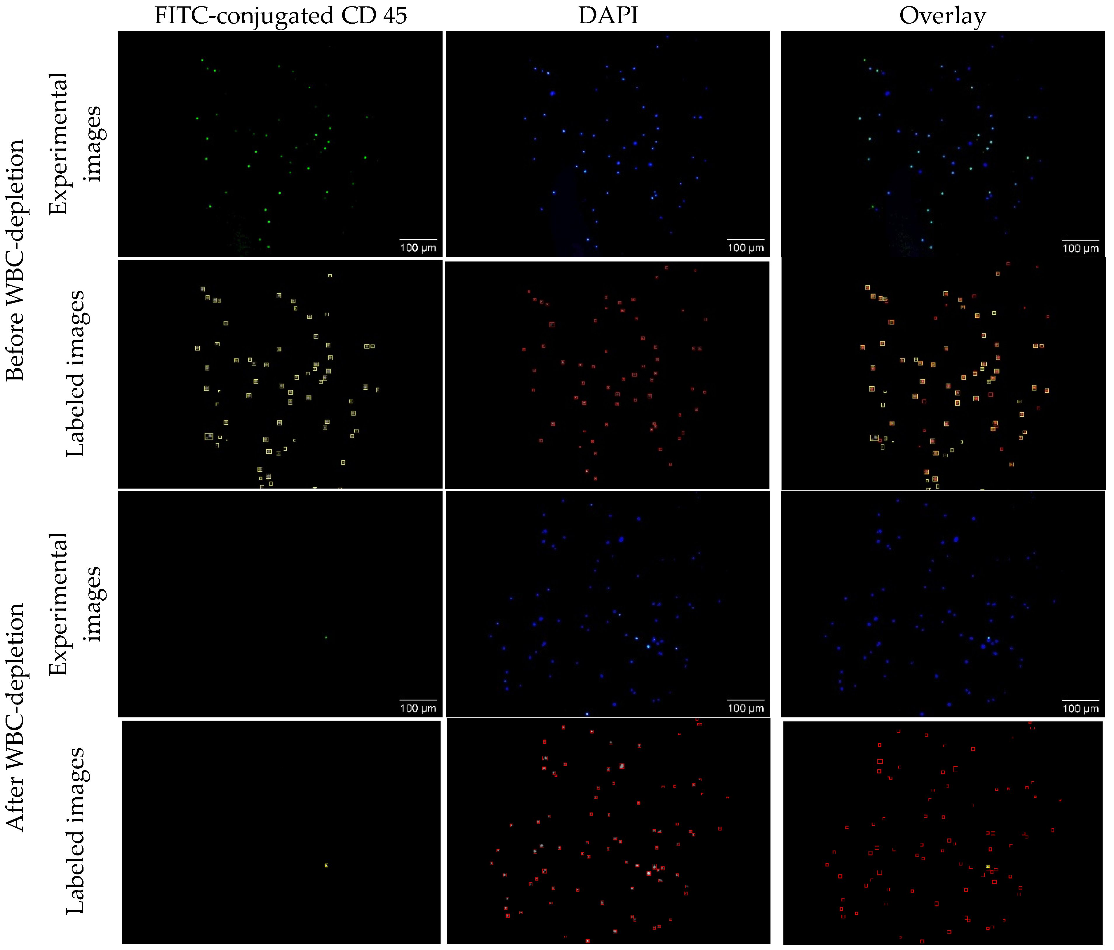 Nanomaterials 15 01693 g006