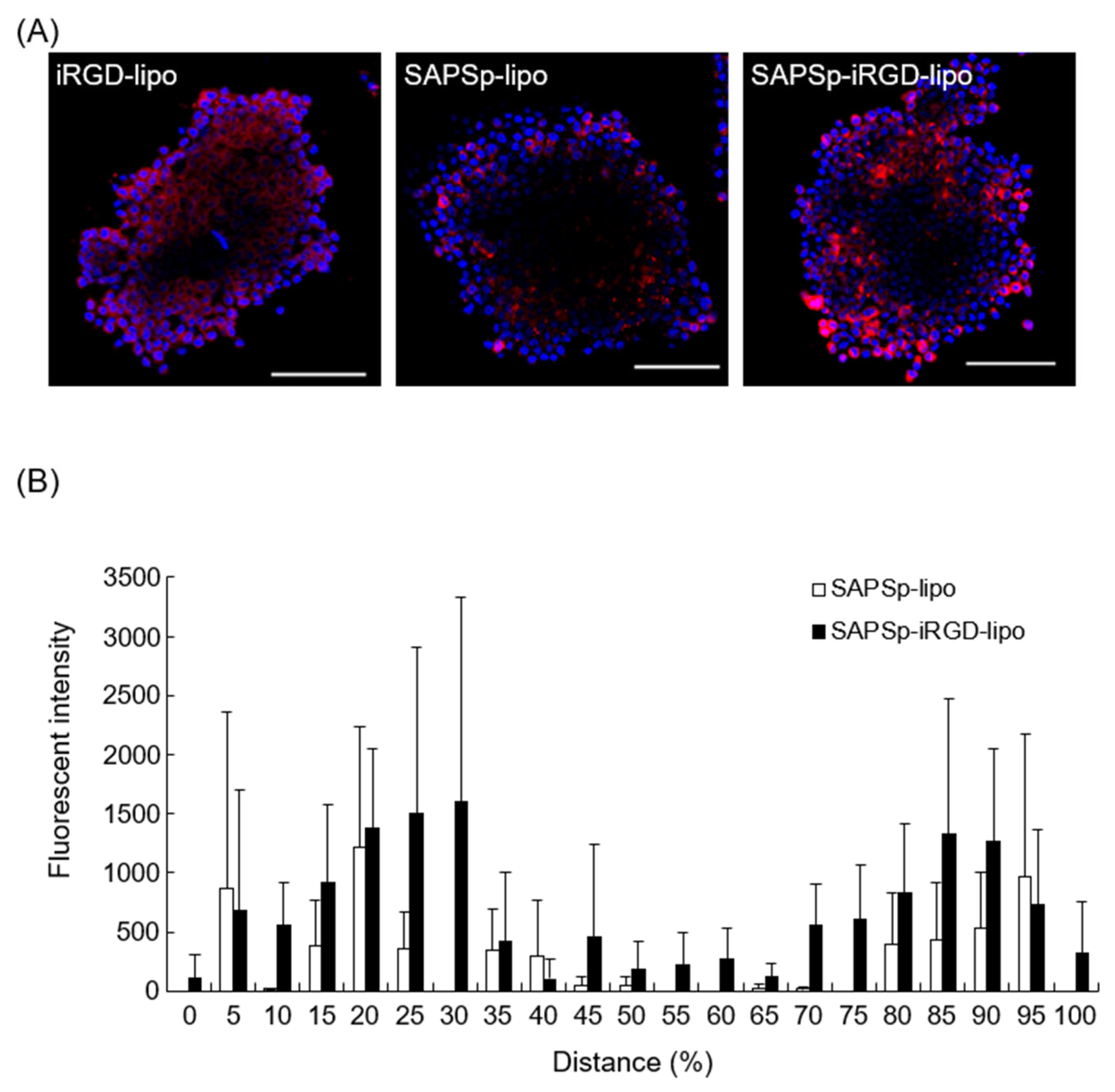 Nanomaterials 15 01695 g001