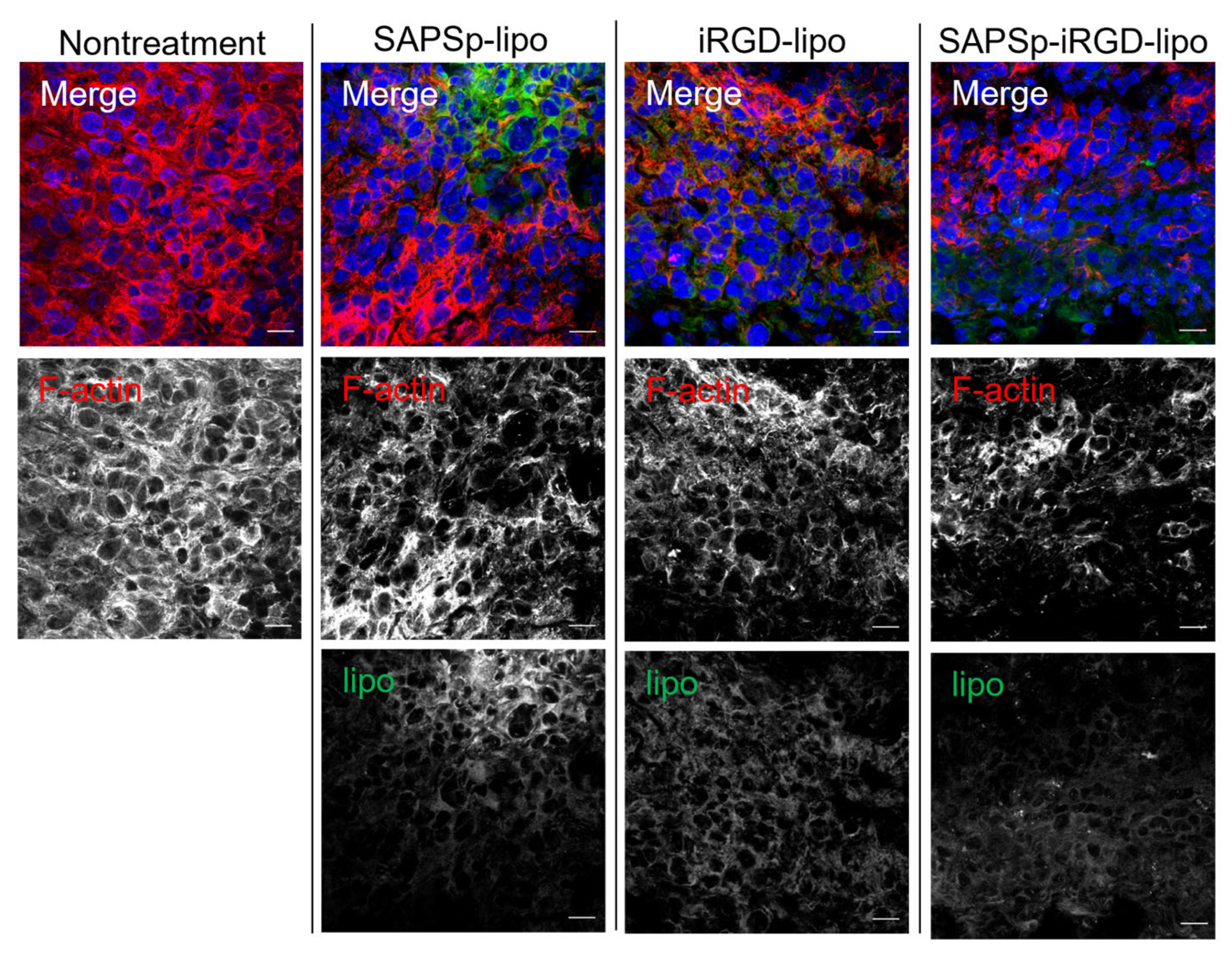 Nanomaterials 15 01695 g004