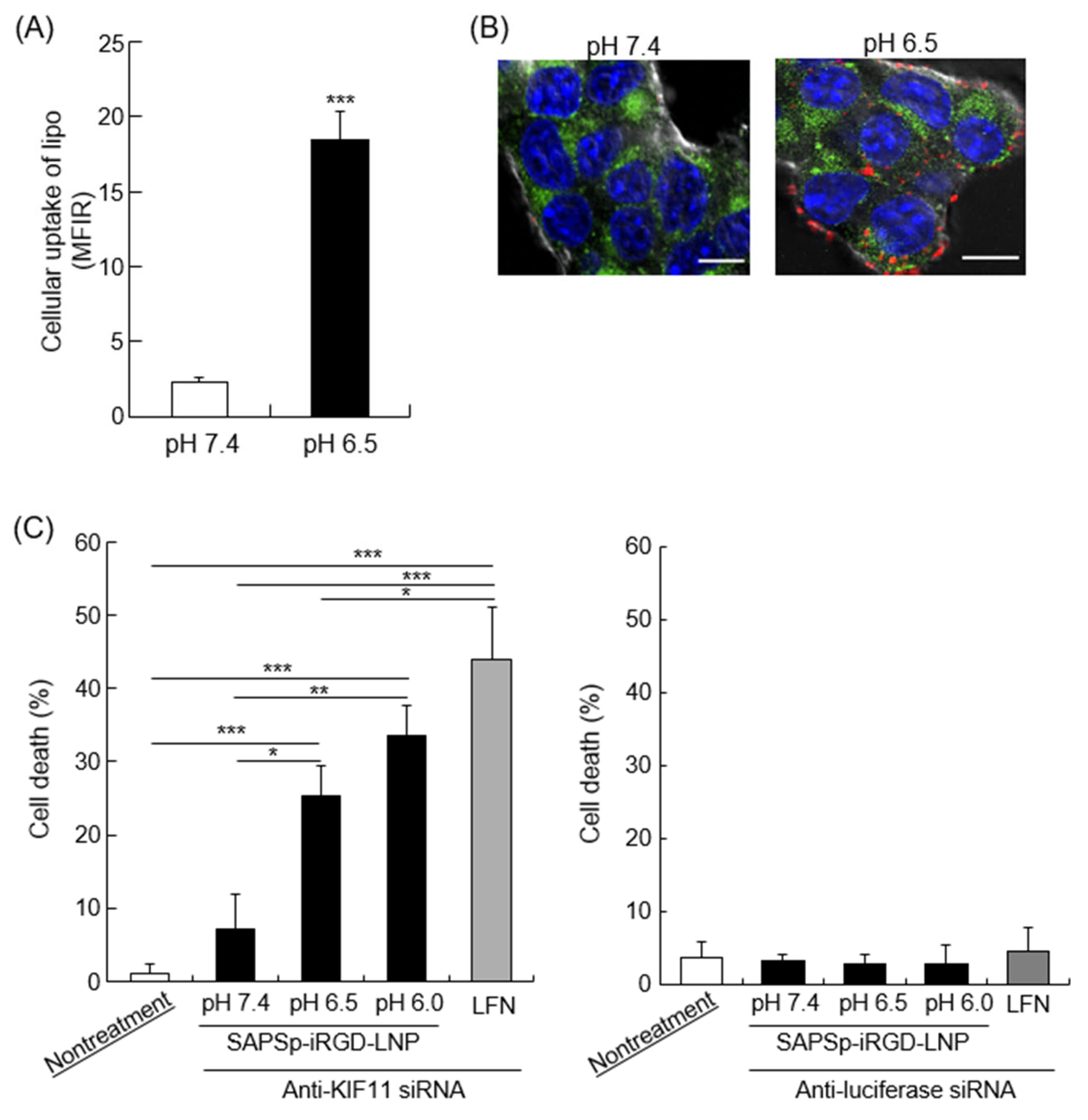 Nanomaterials 15 01695 g007