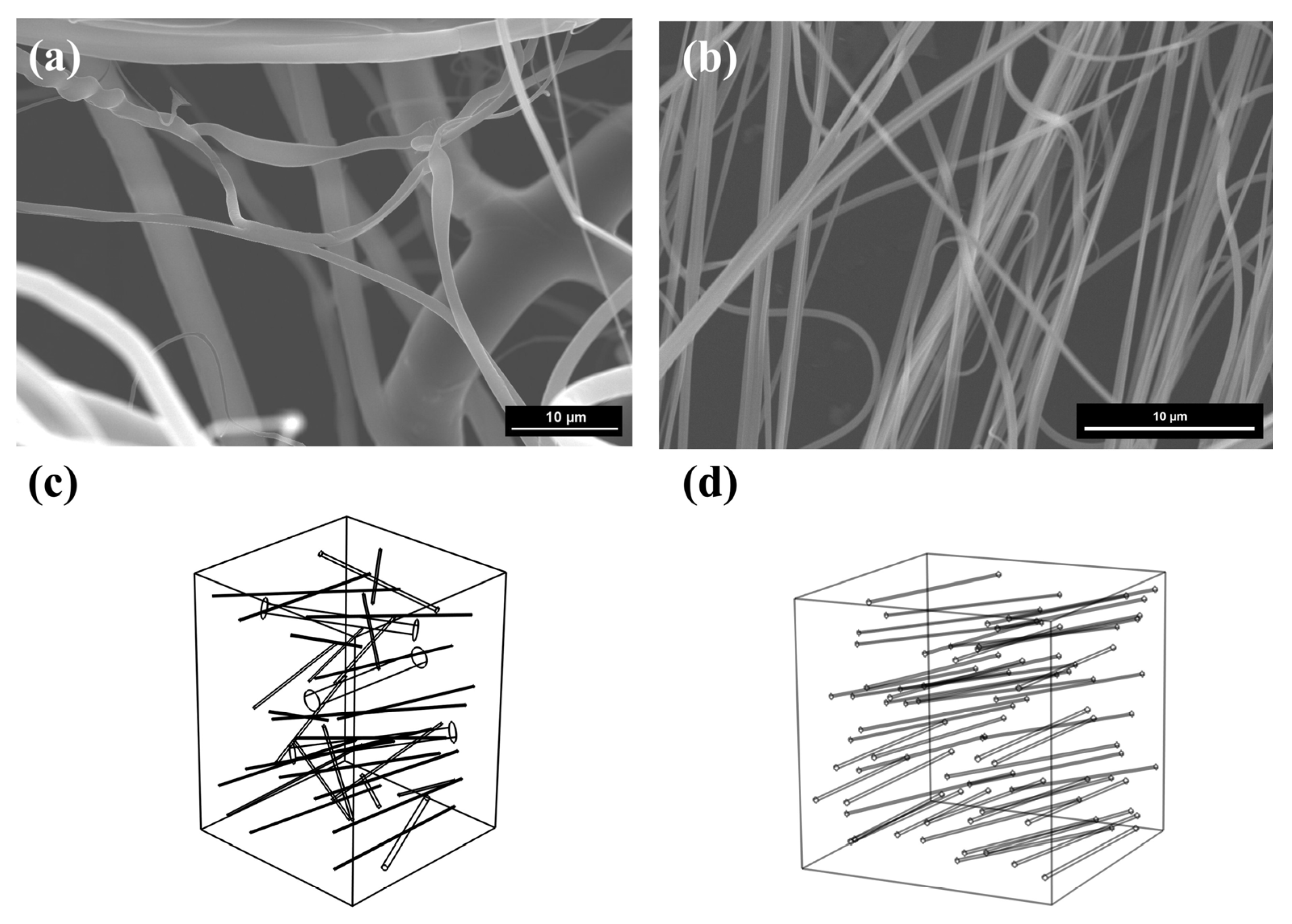 Nanomaterials 15 01696 g003