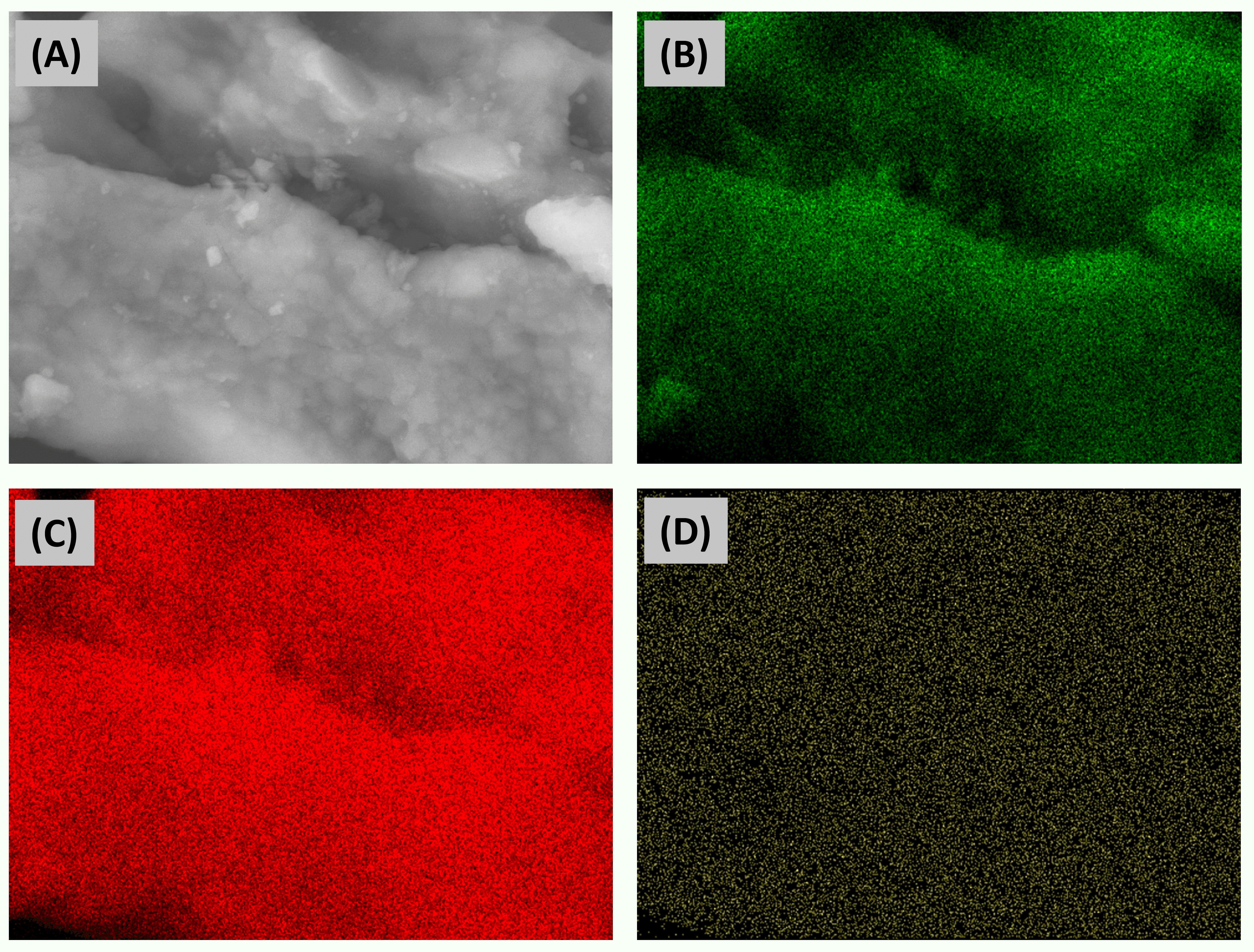 Nanomaterials 15 01697 g002
