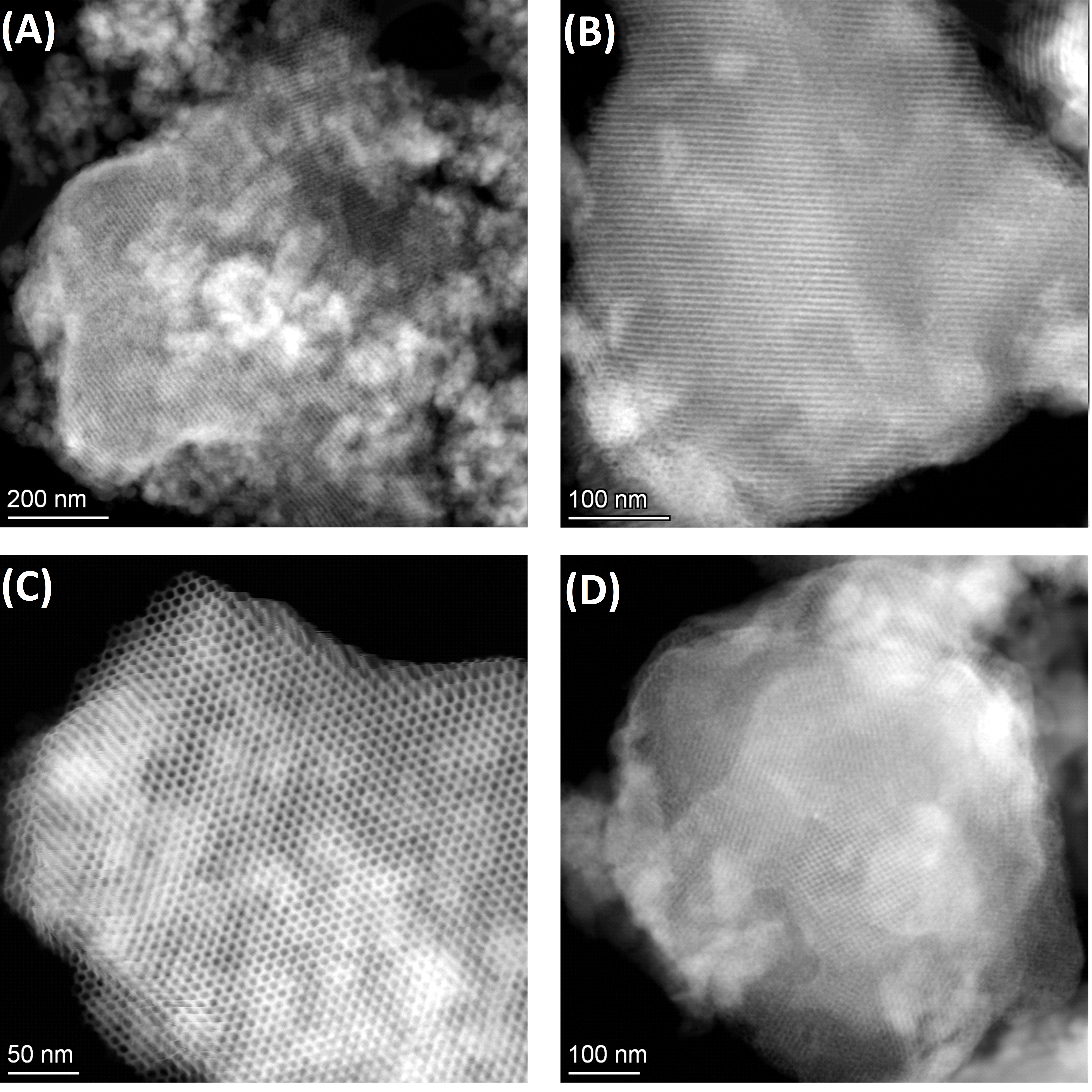 Nanomaterials 15 01697 g005