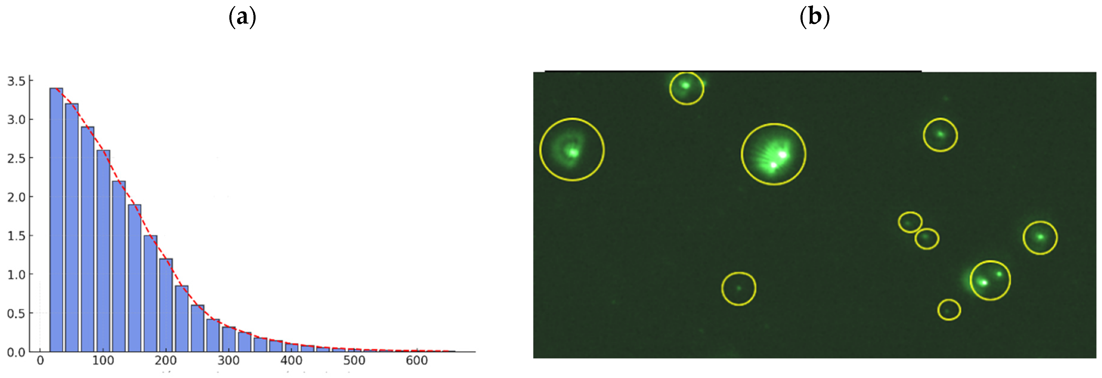 Nanomaterials 15 01700 g003