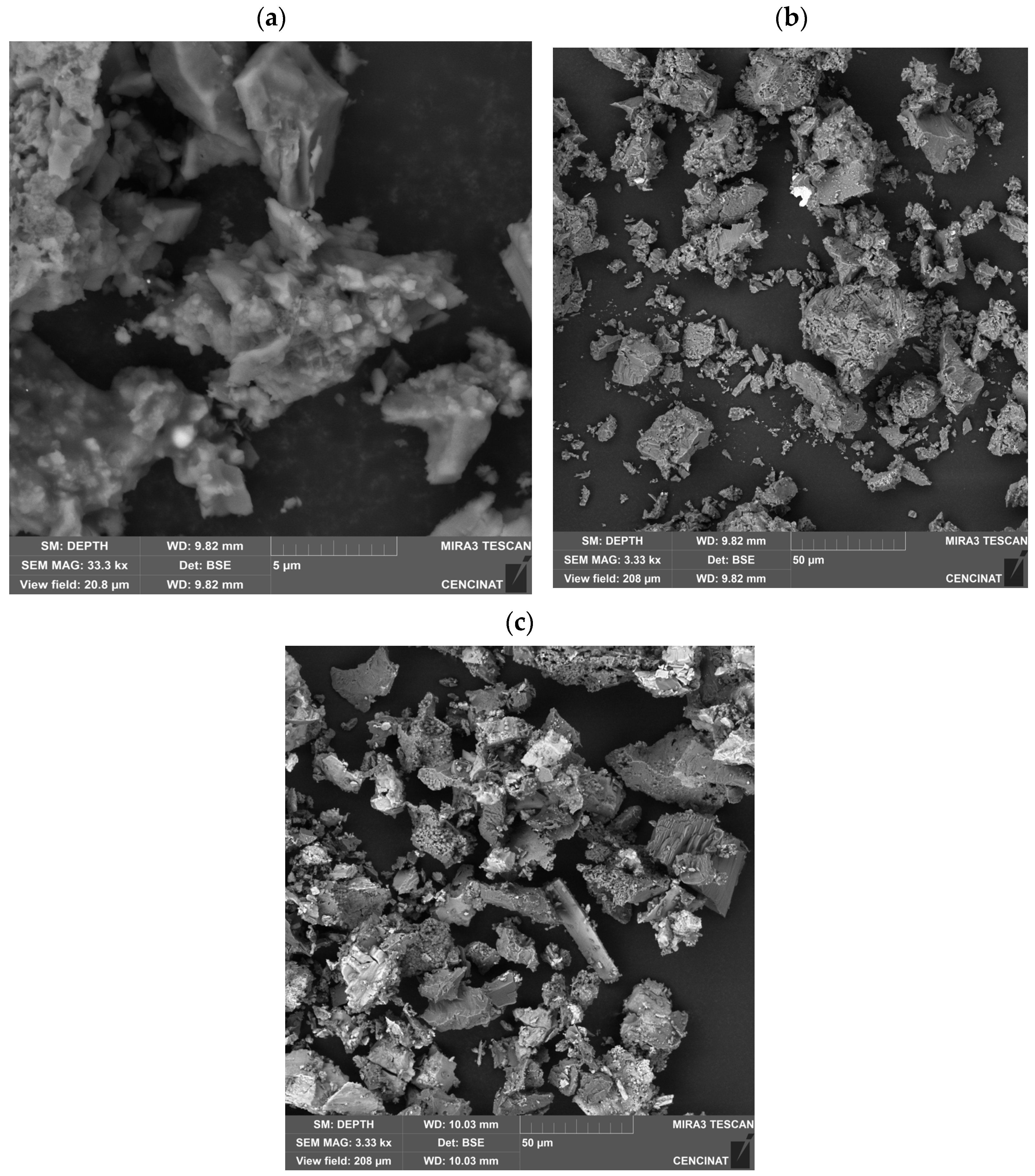 Nanomaterials 15 01700 g007