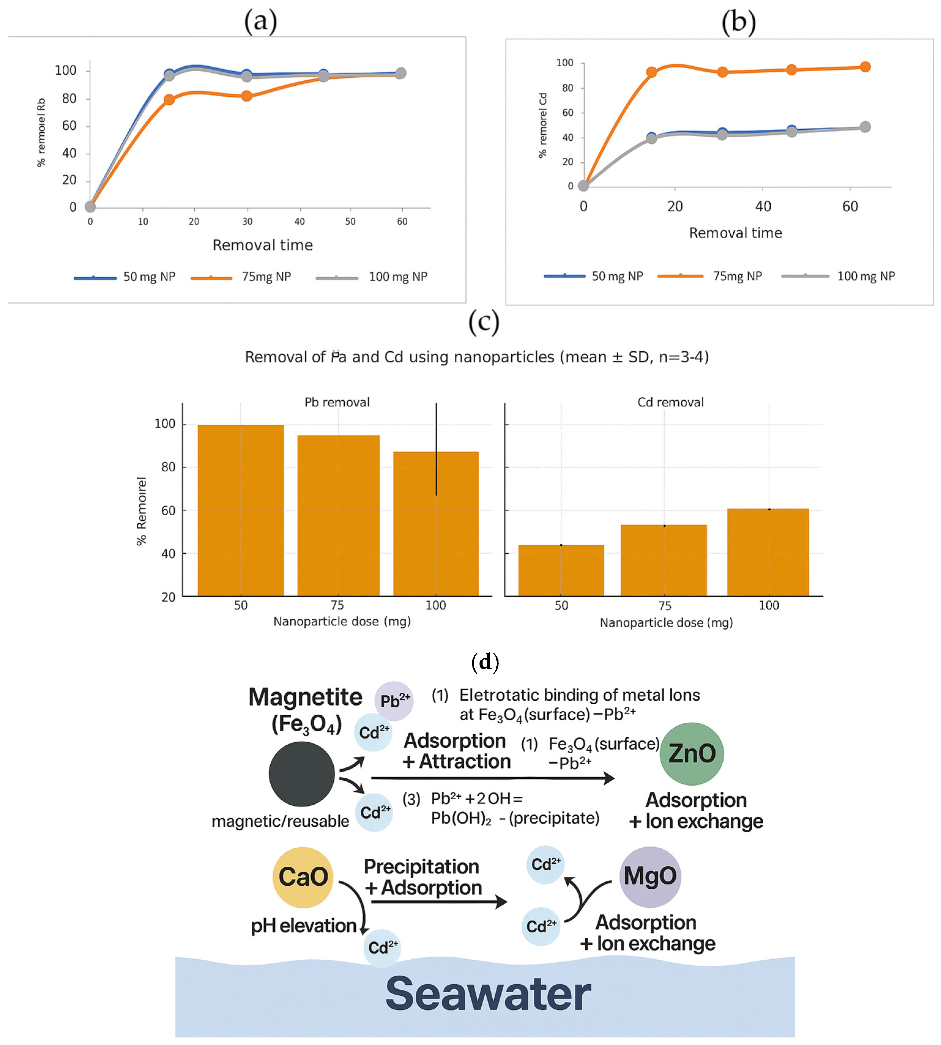 Nanomaterials 15 01700 g008