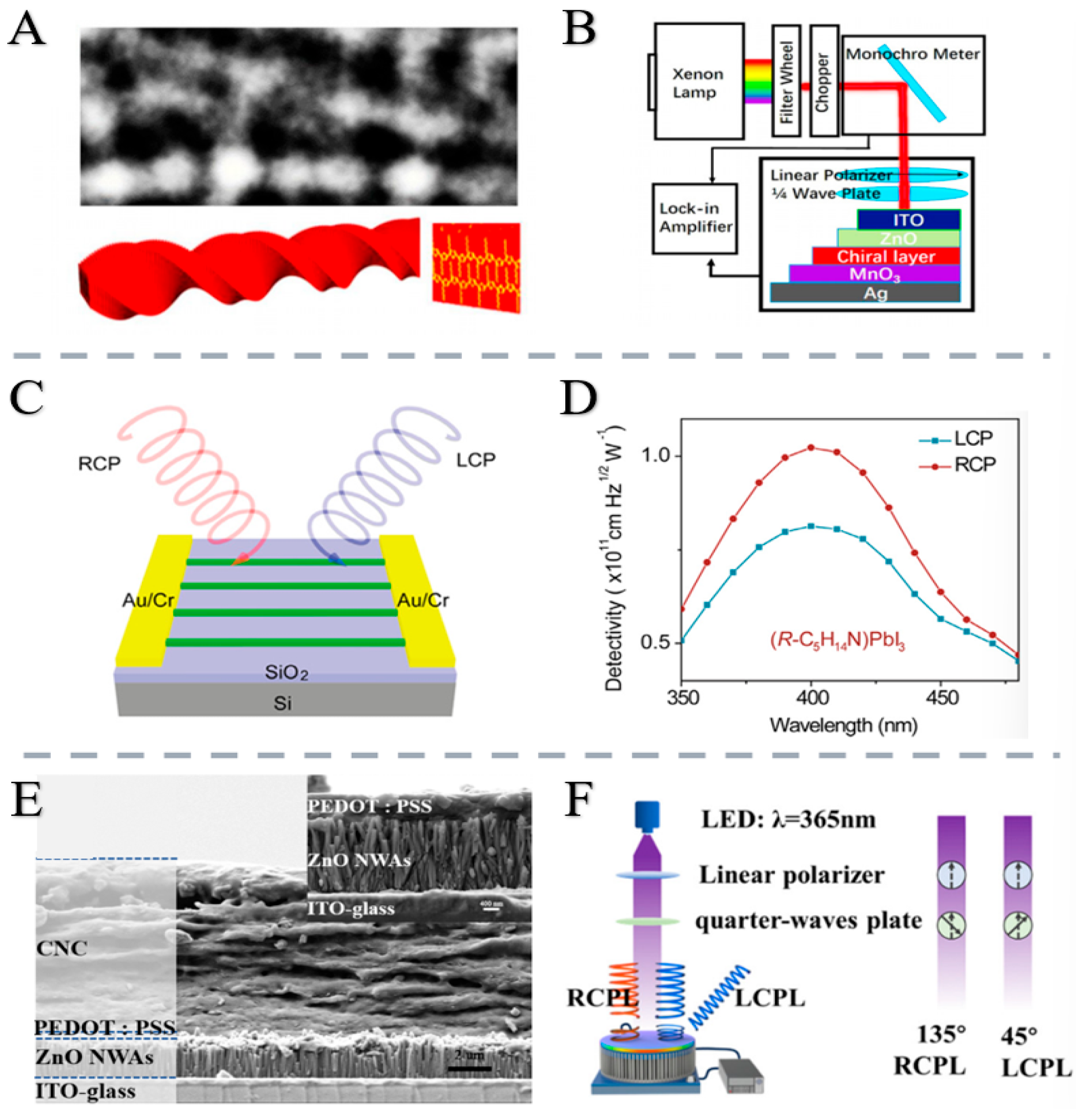 Nanomaterials 15 01701 g004