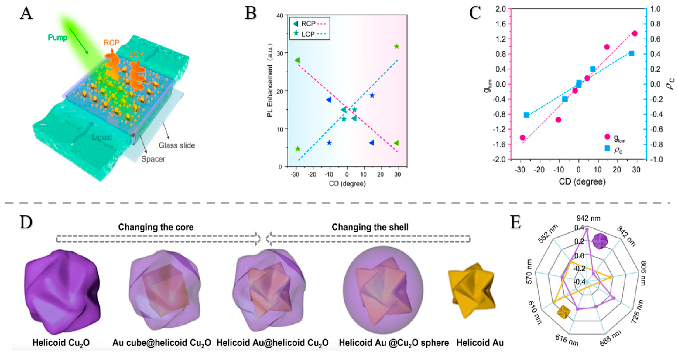 Nanomaterials 15 01701 g007