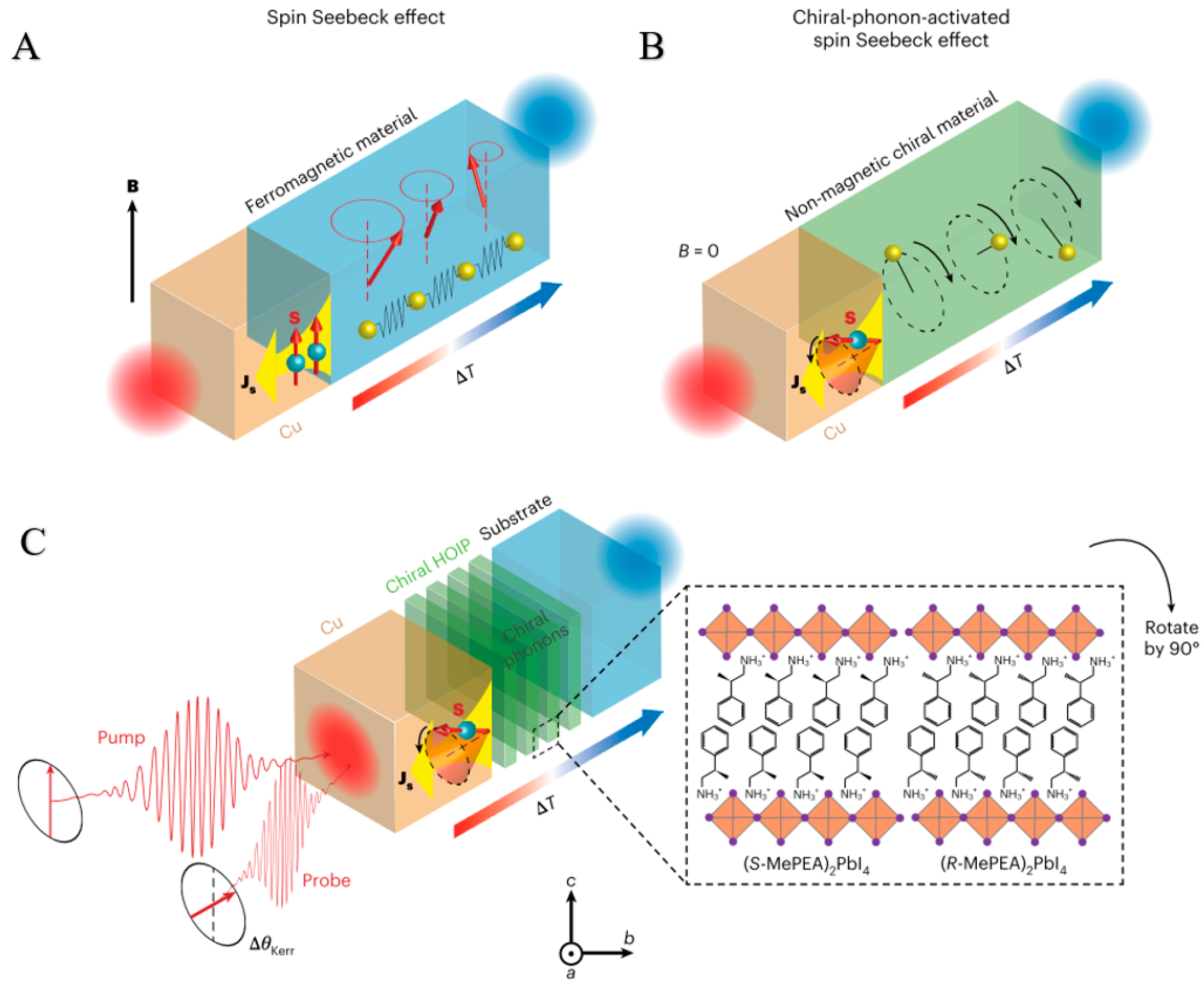 Nanomaterials 15 01701 g009