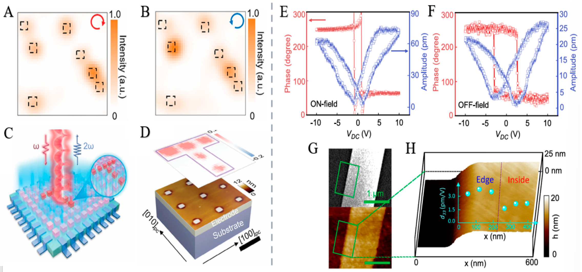 Nanomaterials 15 01701 g012