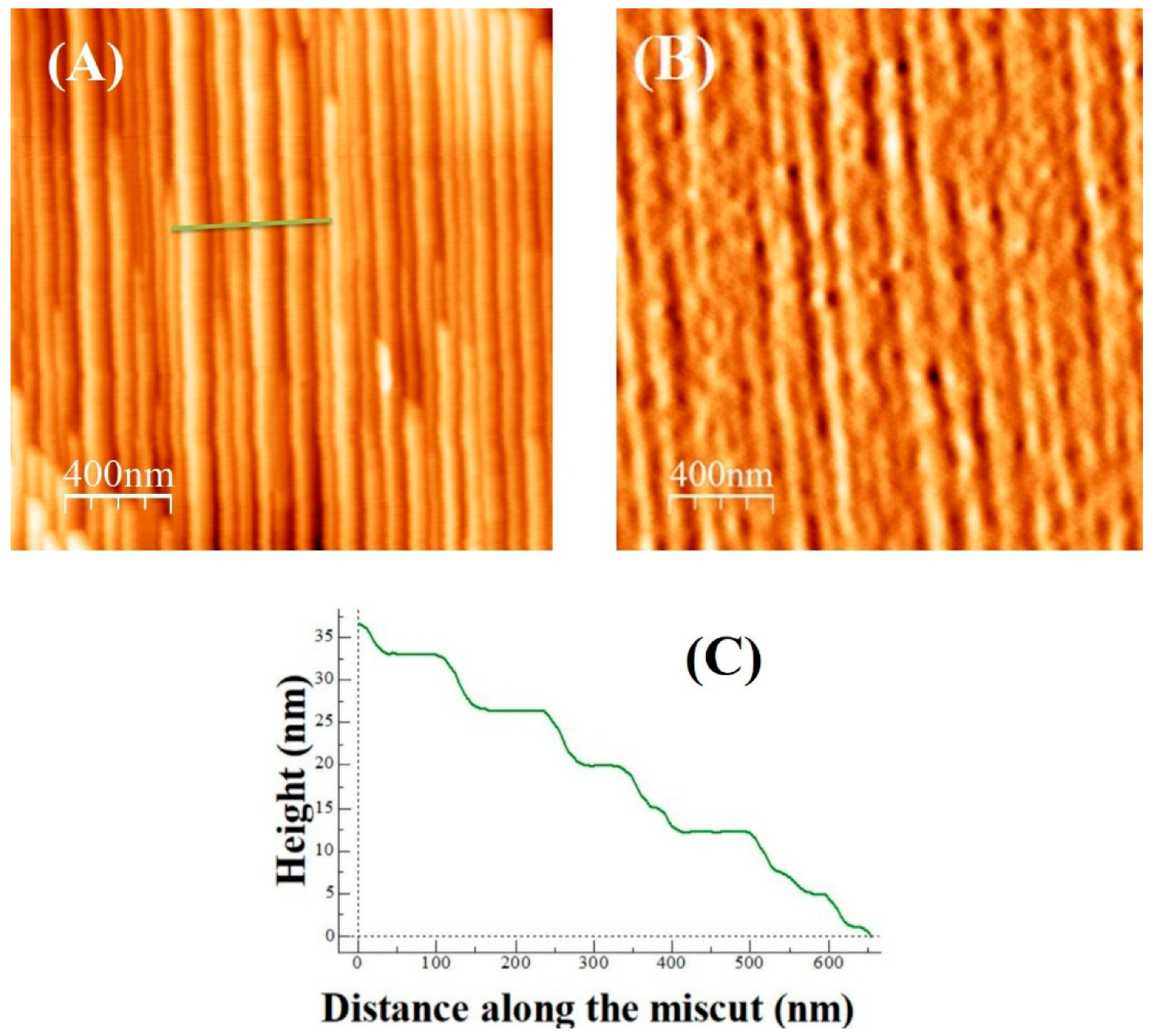 Nanomaterials 15 01703 g001