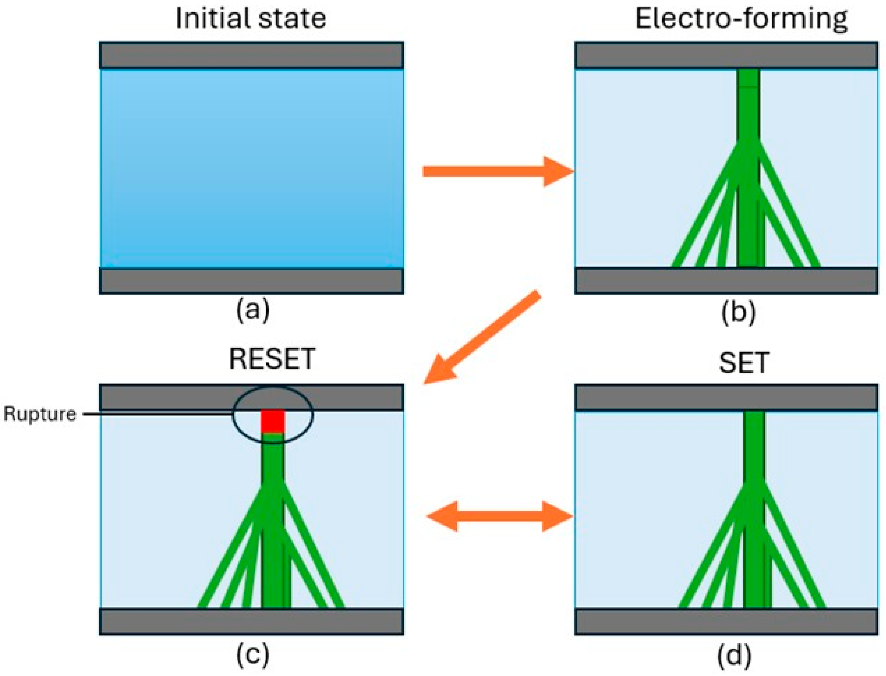 Nanomaterials 15 01703 g006