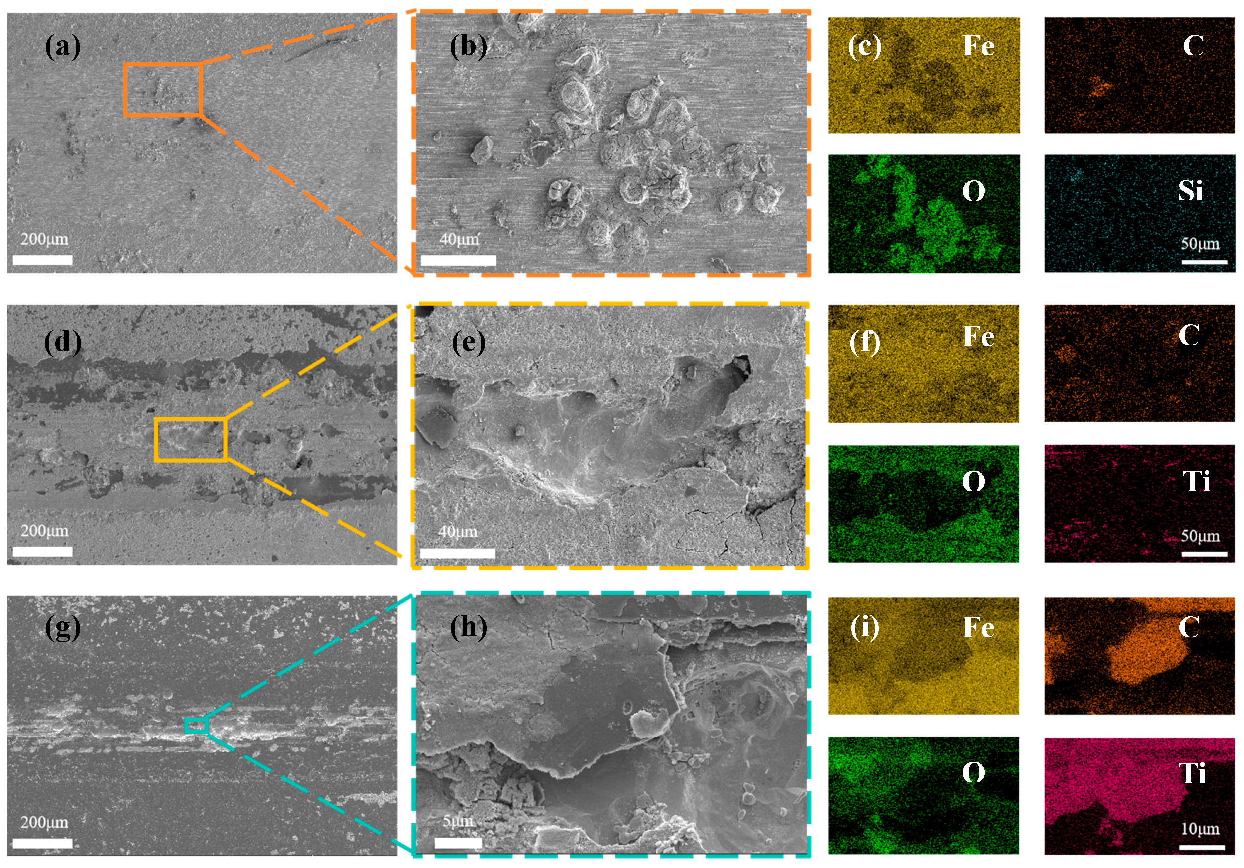 Nanomaterials 15 01704 g011