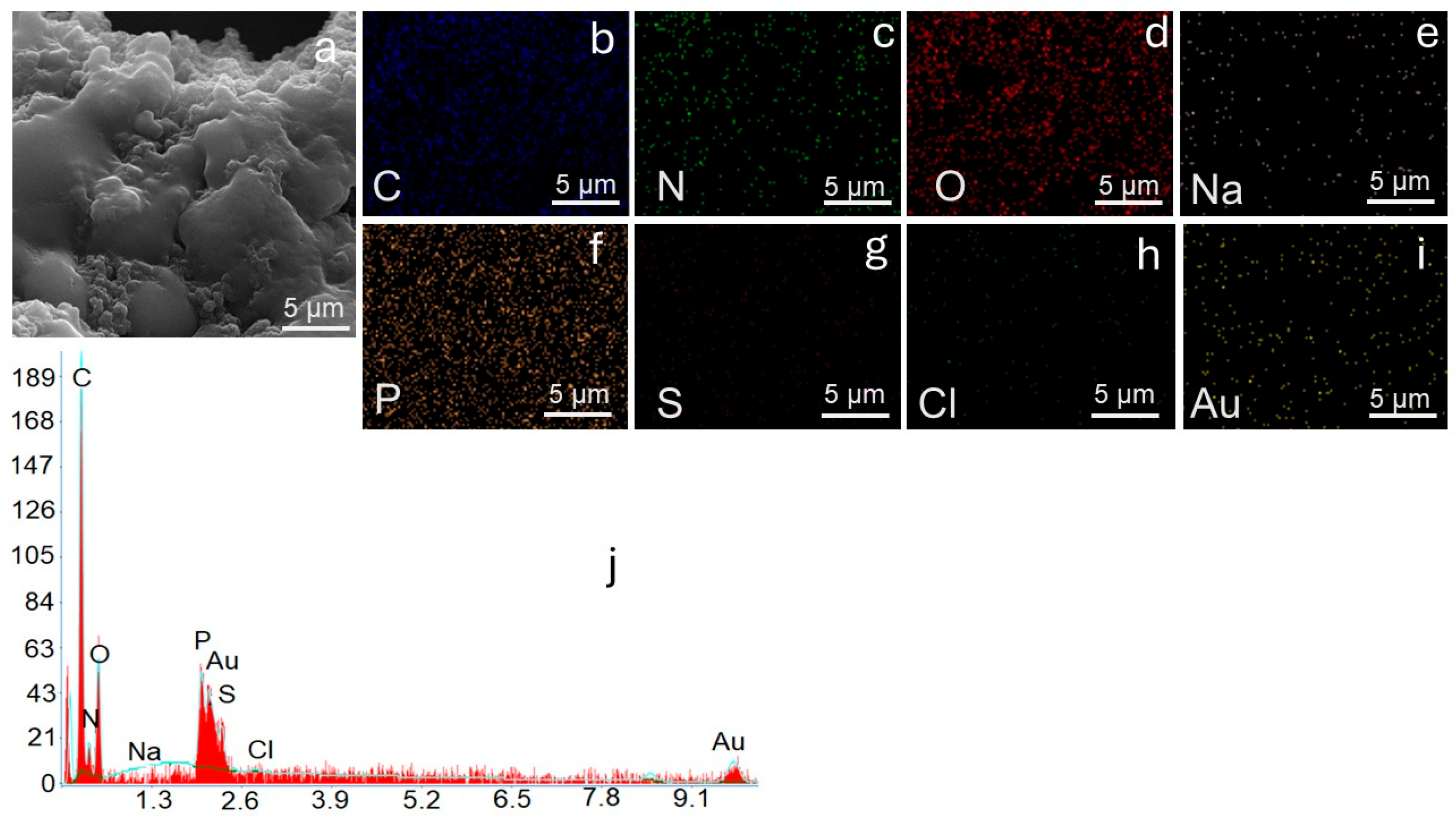 Nanomaterials 15 01708 g005