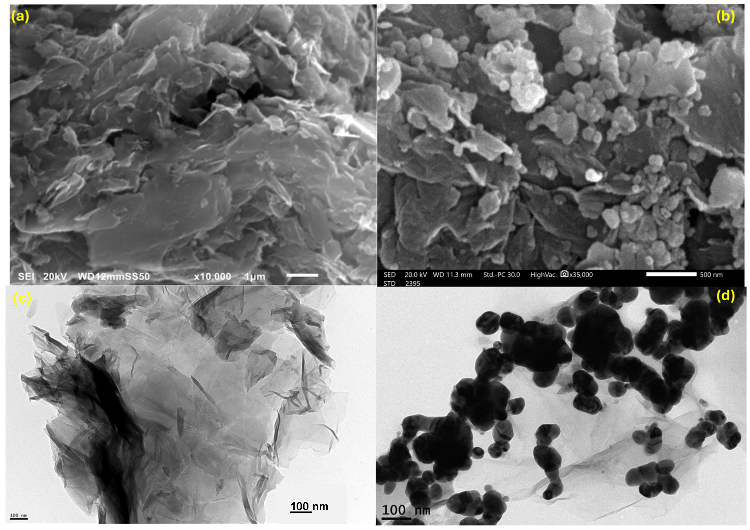 Nanomaterials 15 01709 g001 Nanomaterials 15 01709 g001