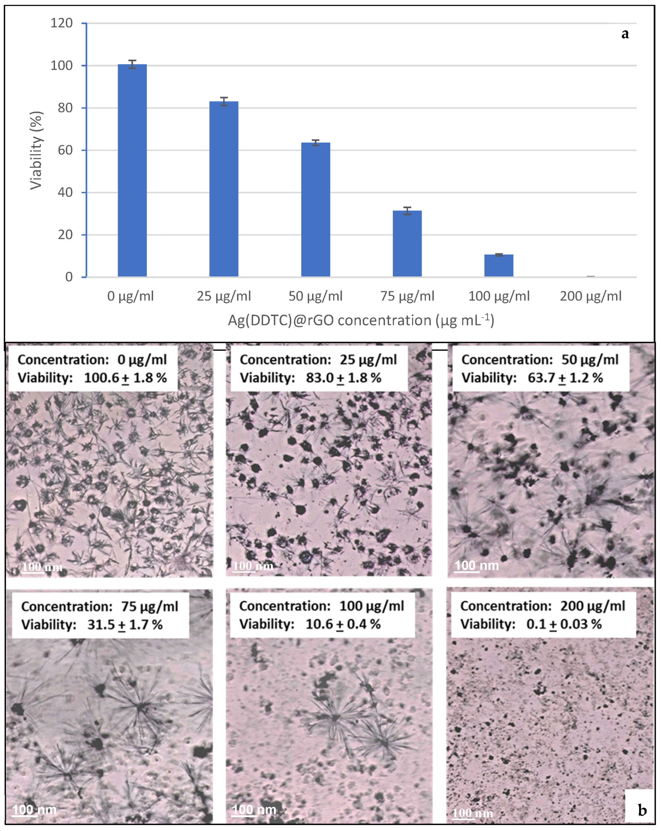 Nanomaterials 15 01709 g007 Nanomaterials 15 01709 g007