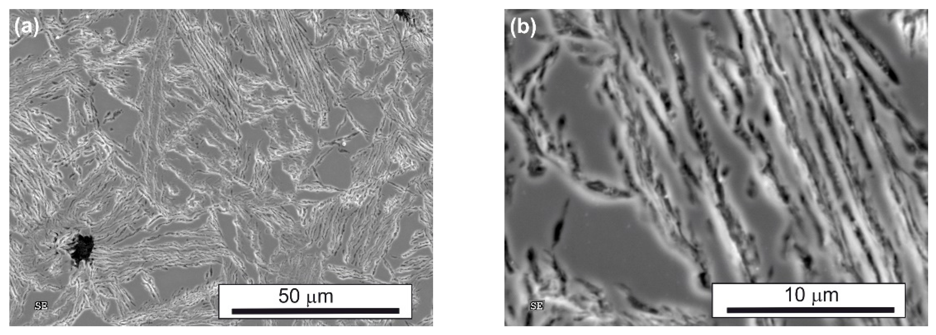 Nanomaterials 15 01710 g004