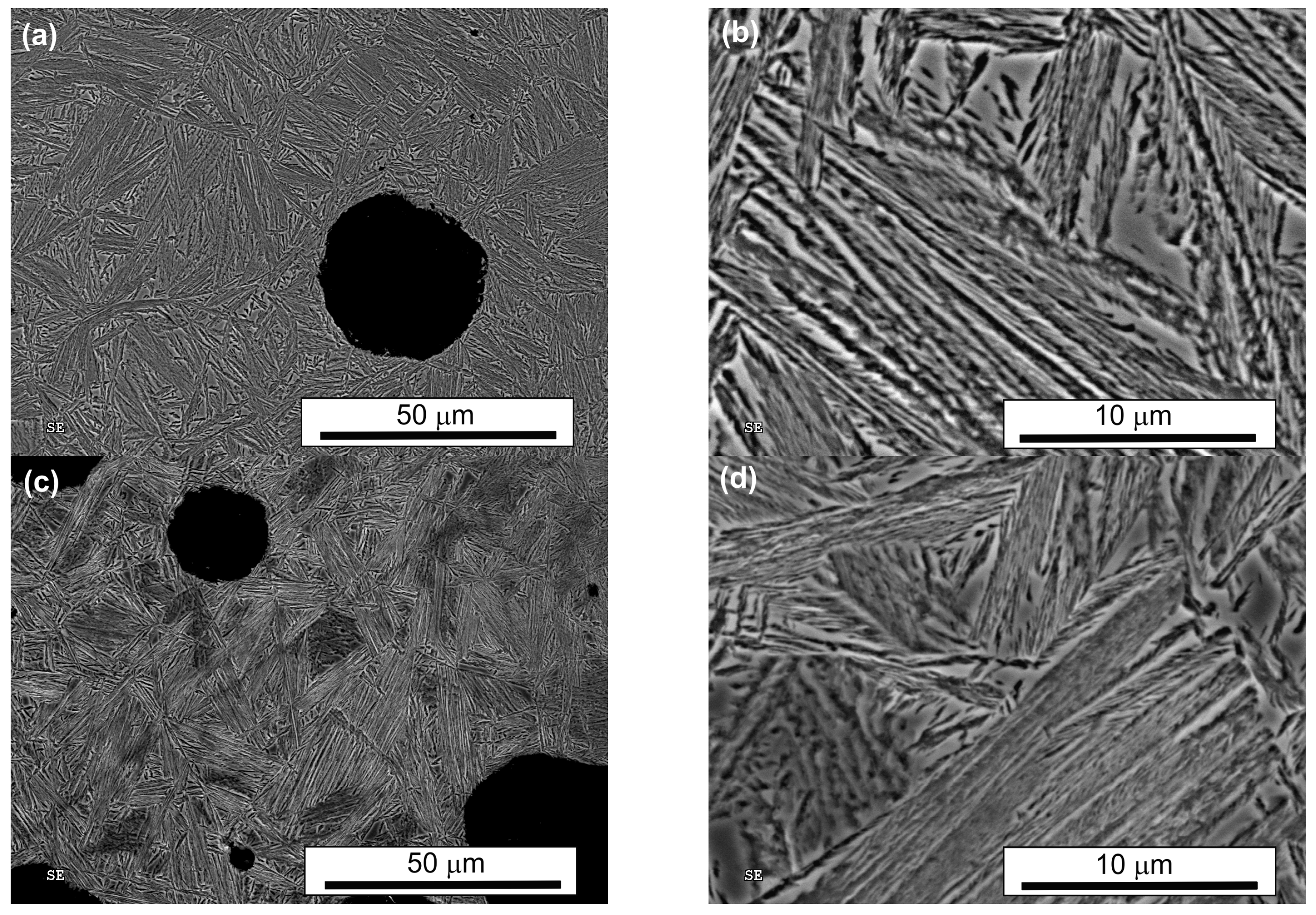 Nanomaterials 15 01710 g006