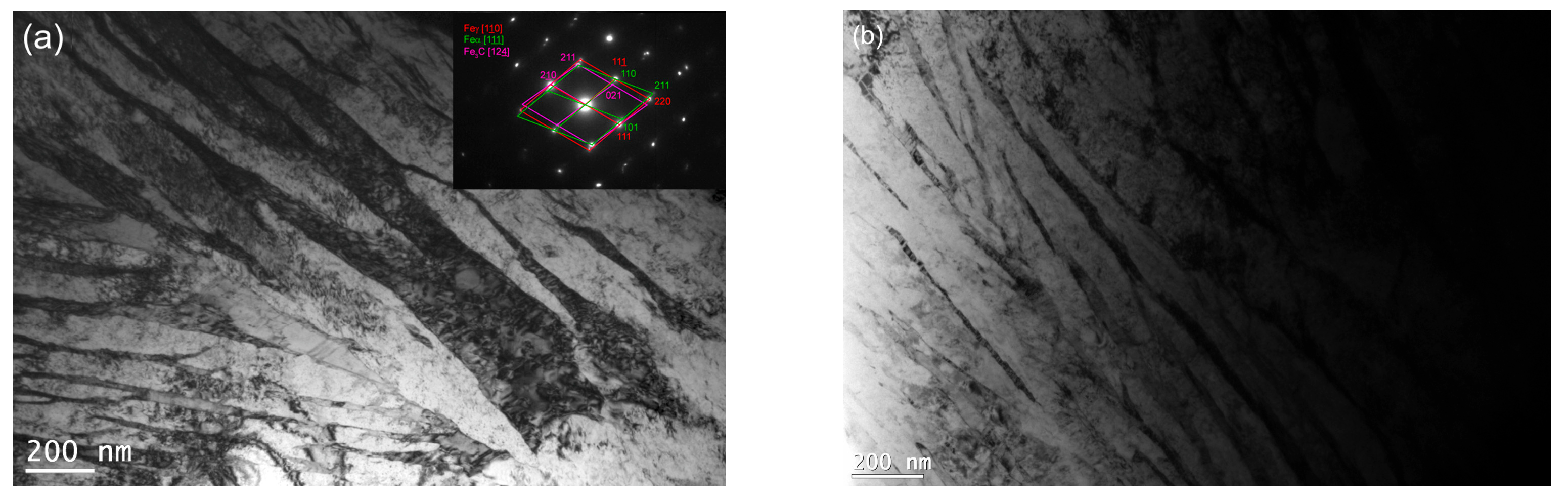 Nanomaterials 15 01710 g008