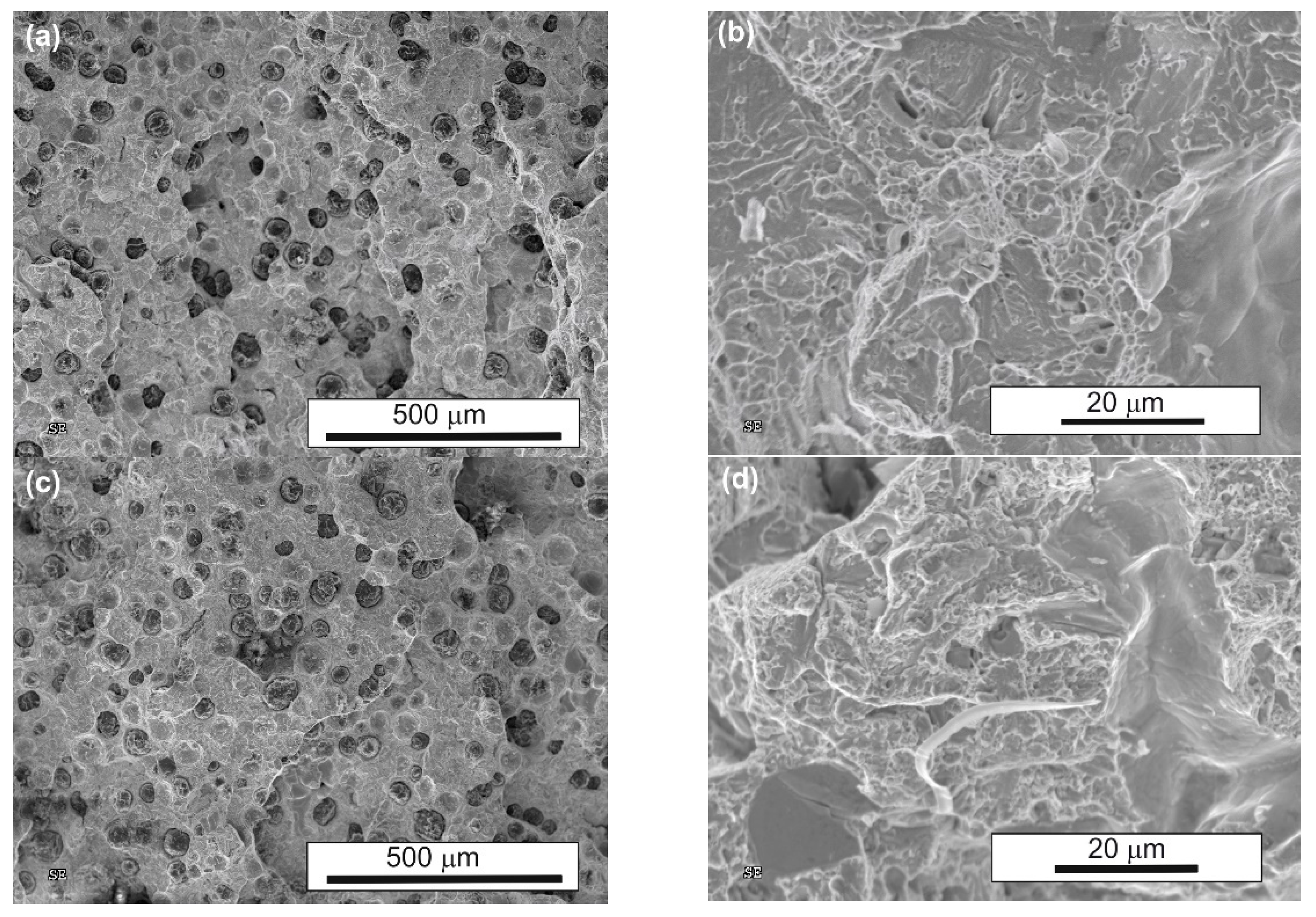 Nanomaterials 15 01710 g014a