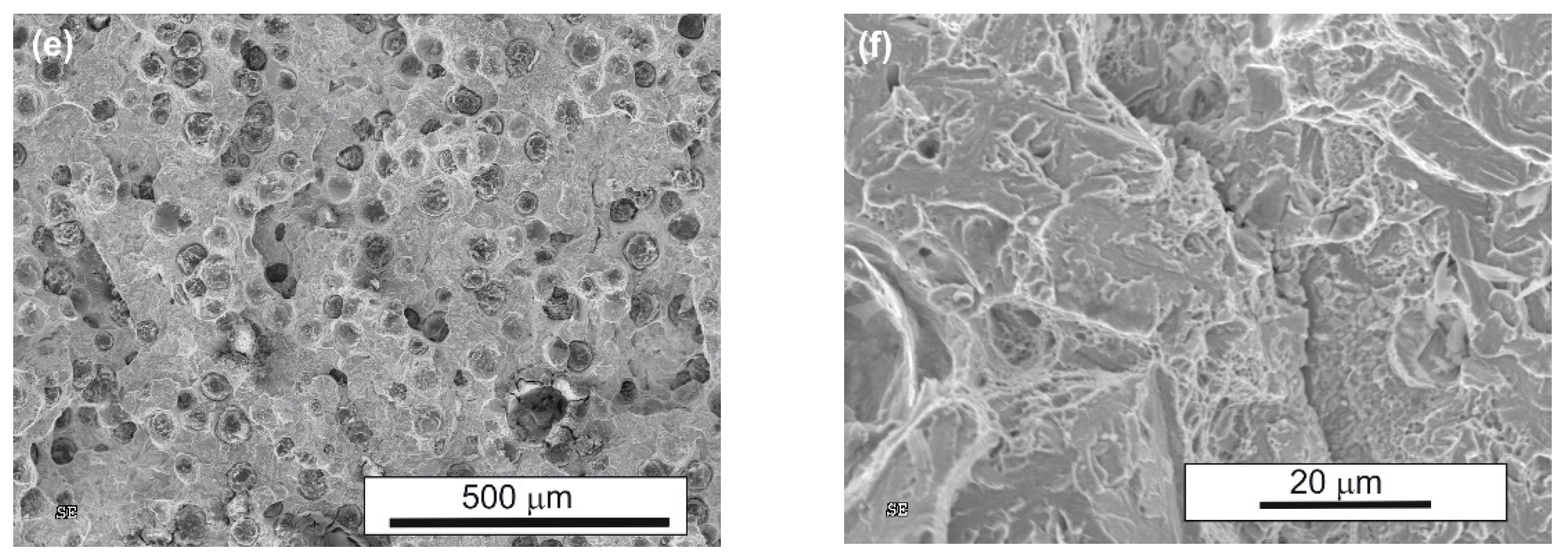 Nanomaterials 15 01710 g014b