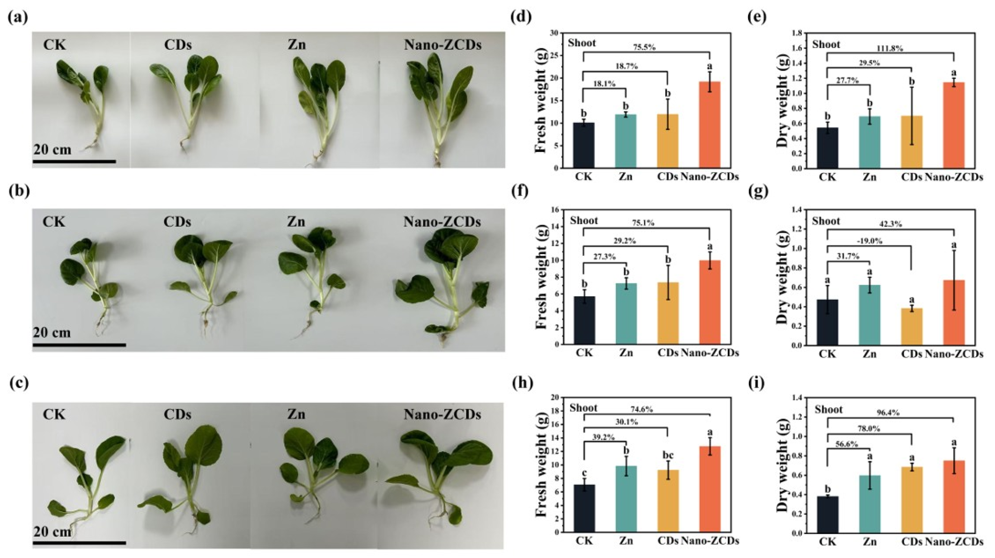 Nanomaterials 15 01714 g001