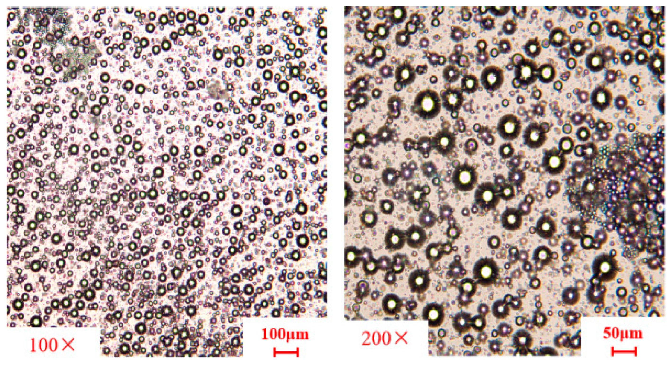 Nanomaterials 15 01715 g016