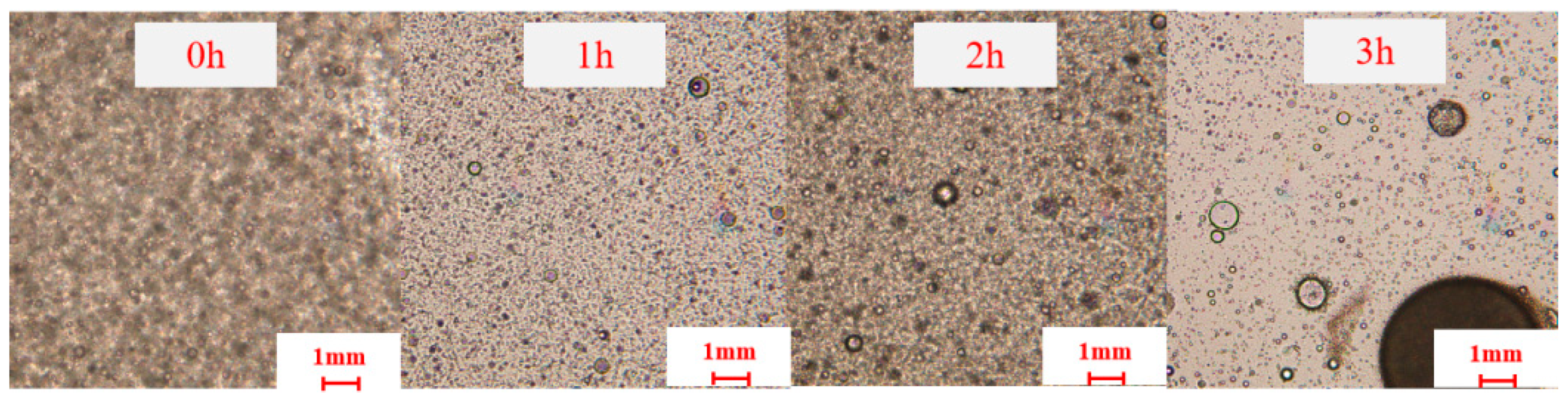 Nanomaterials 15 01715 g017