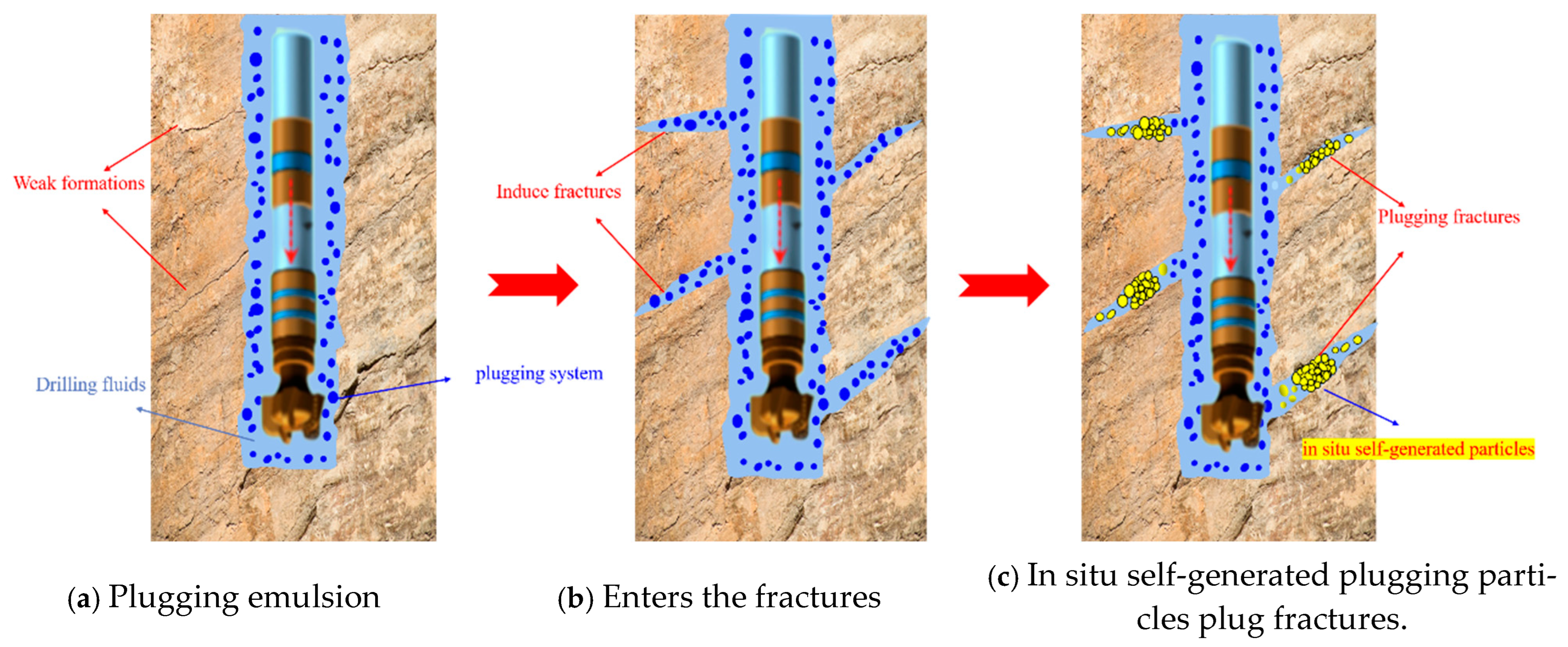 Nanomaterials 15 01715 g022