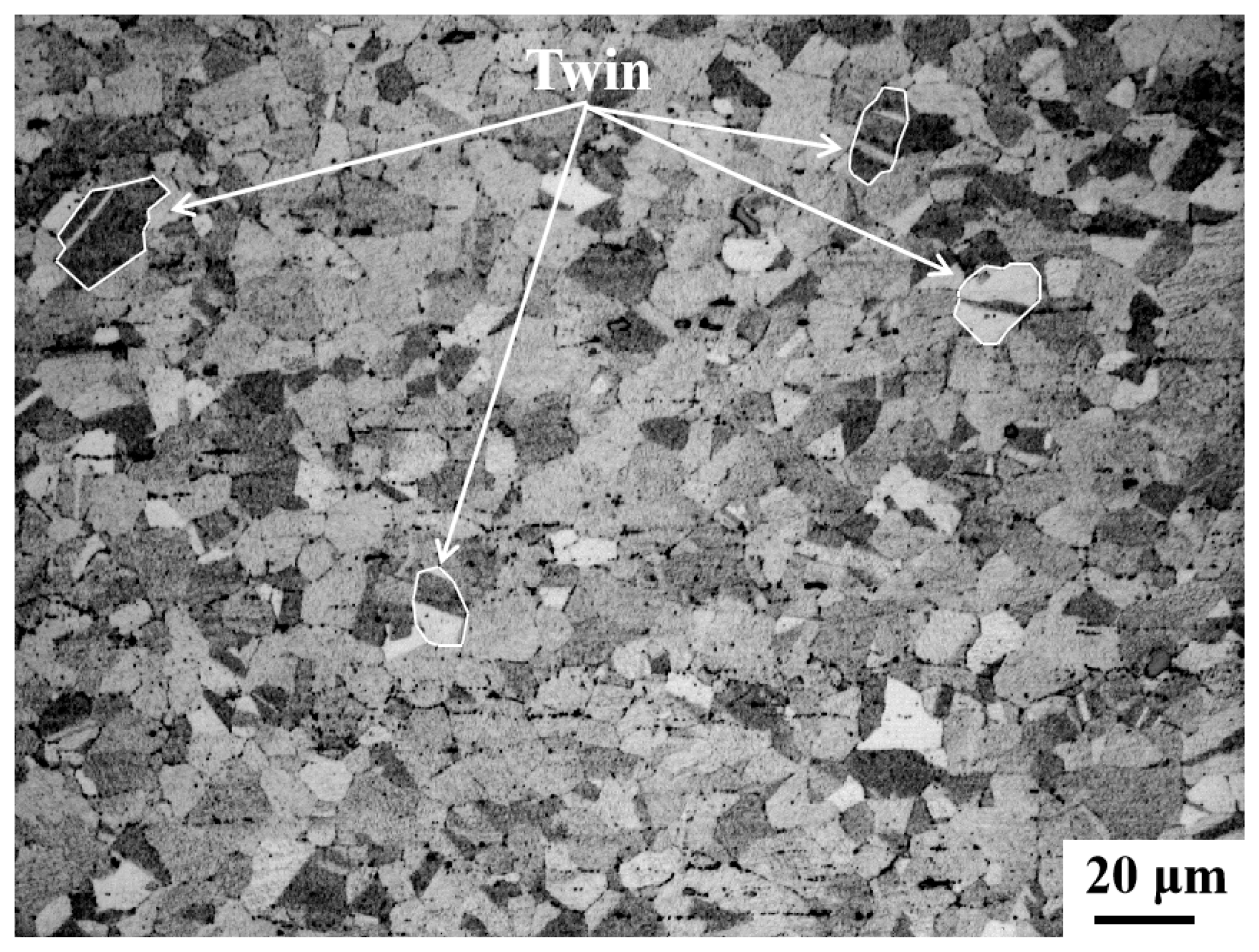 Nanomaterials 15 01717 g002