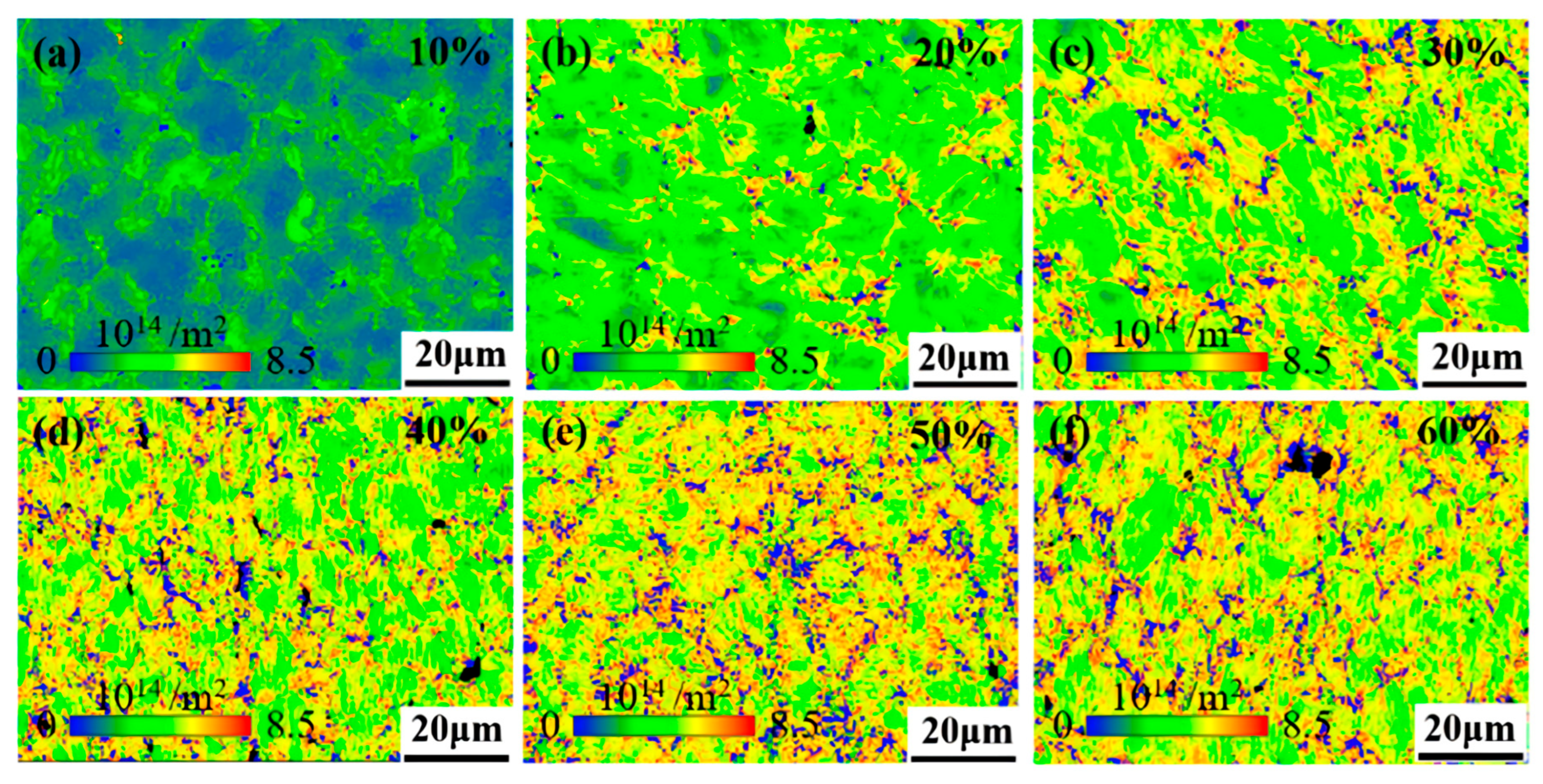 Nanomaterials 15 01717 g010
