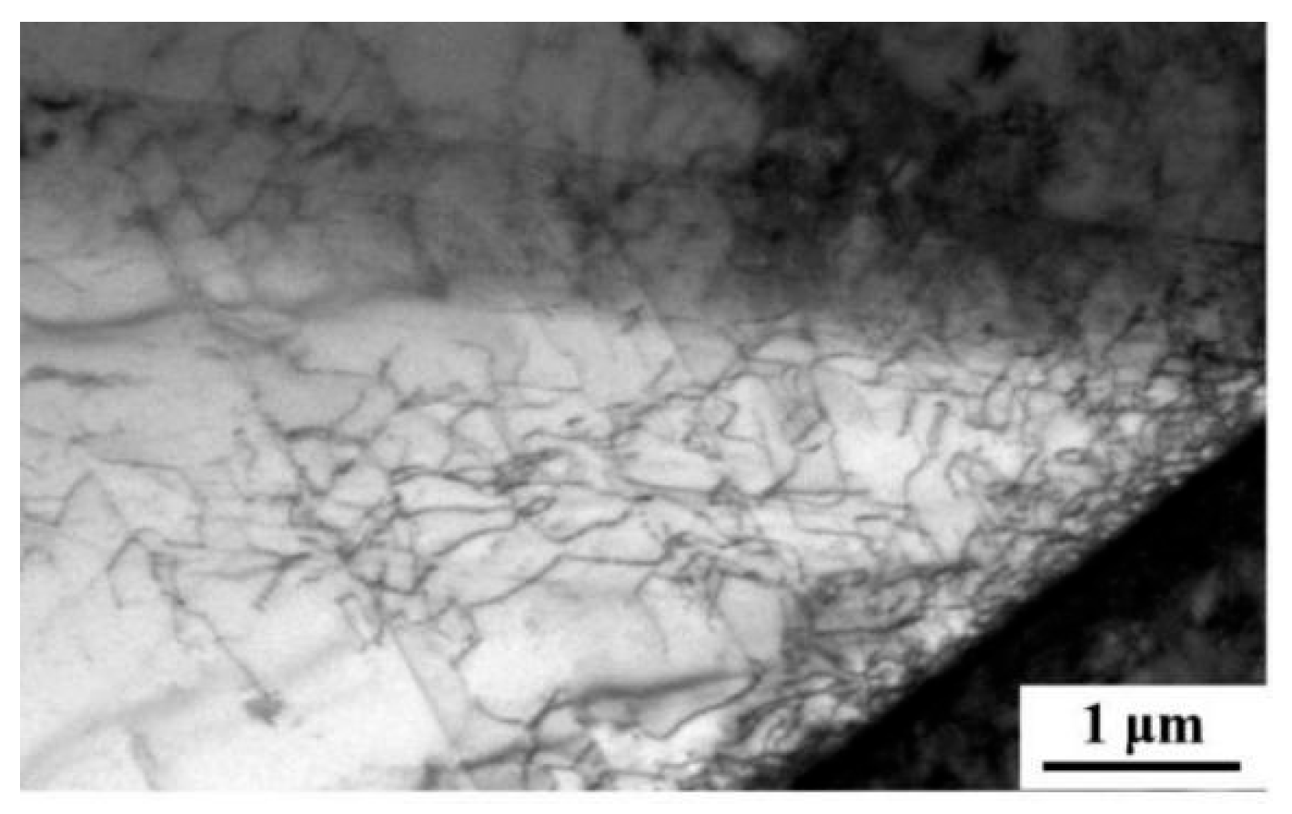 Nanomaterials 15 01717 g011