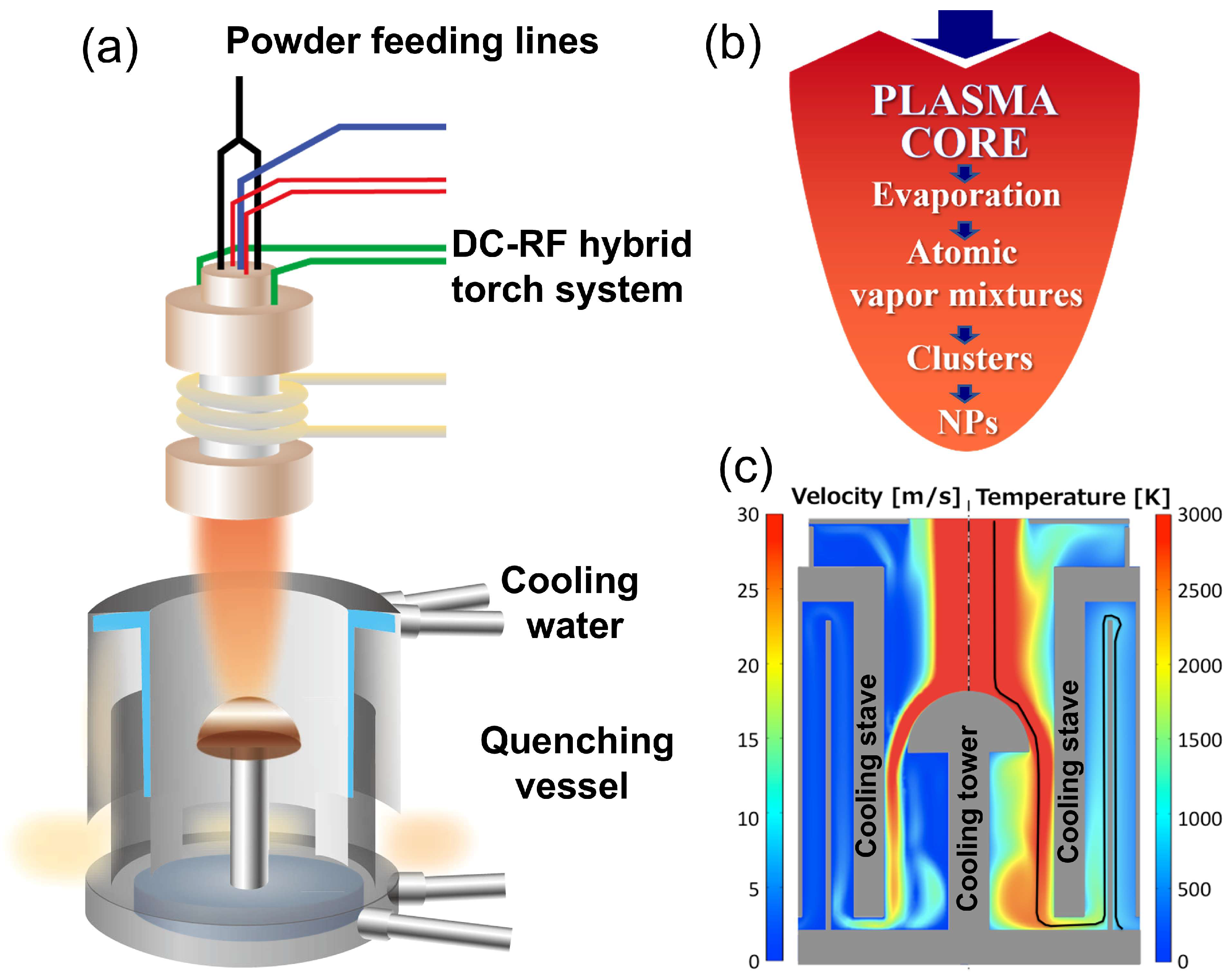 Nanomaterials 15 01718 g001